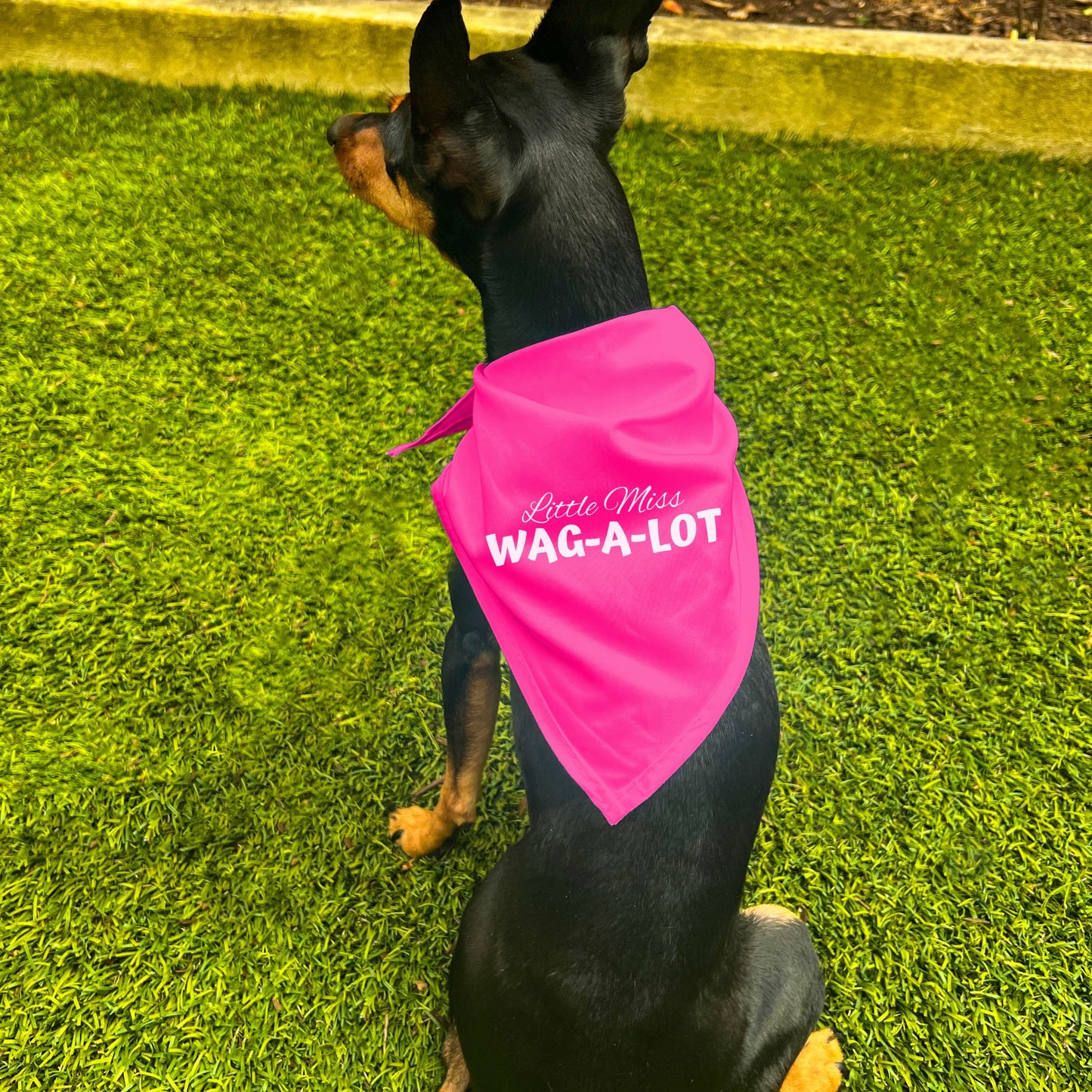 "Little Miss Wag-A-Lot" Dog Bandana