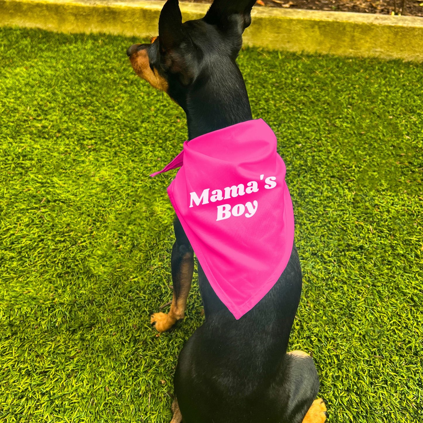 "Mama's Boy" Dog Bandana