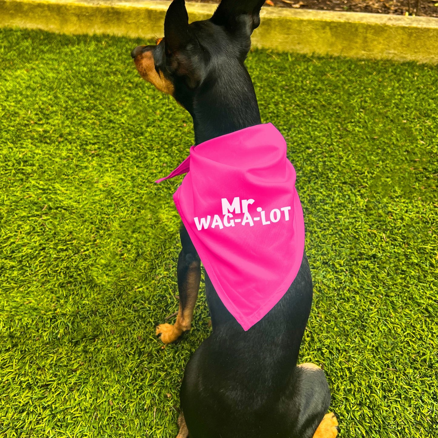 "Mr. Wag-A-Lot" Dog Bandana