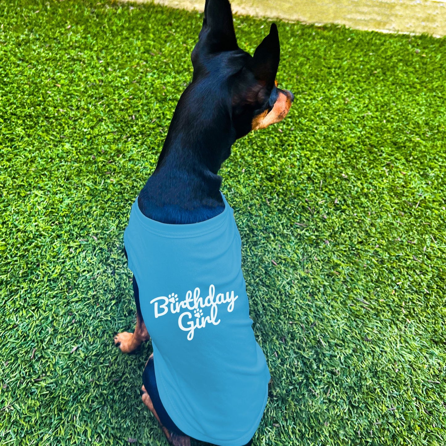 "Birthday Girl" Dog Shirt