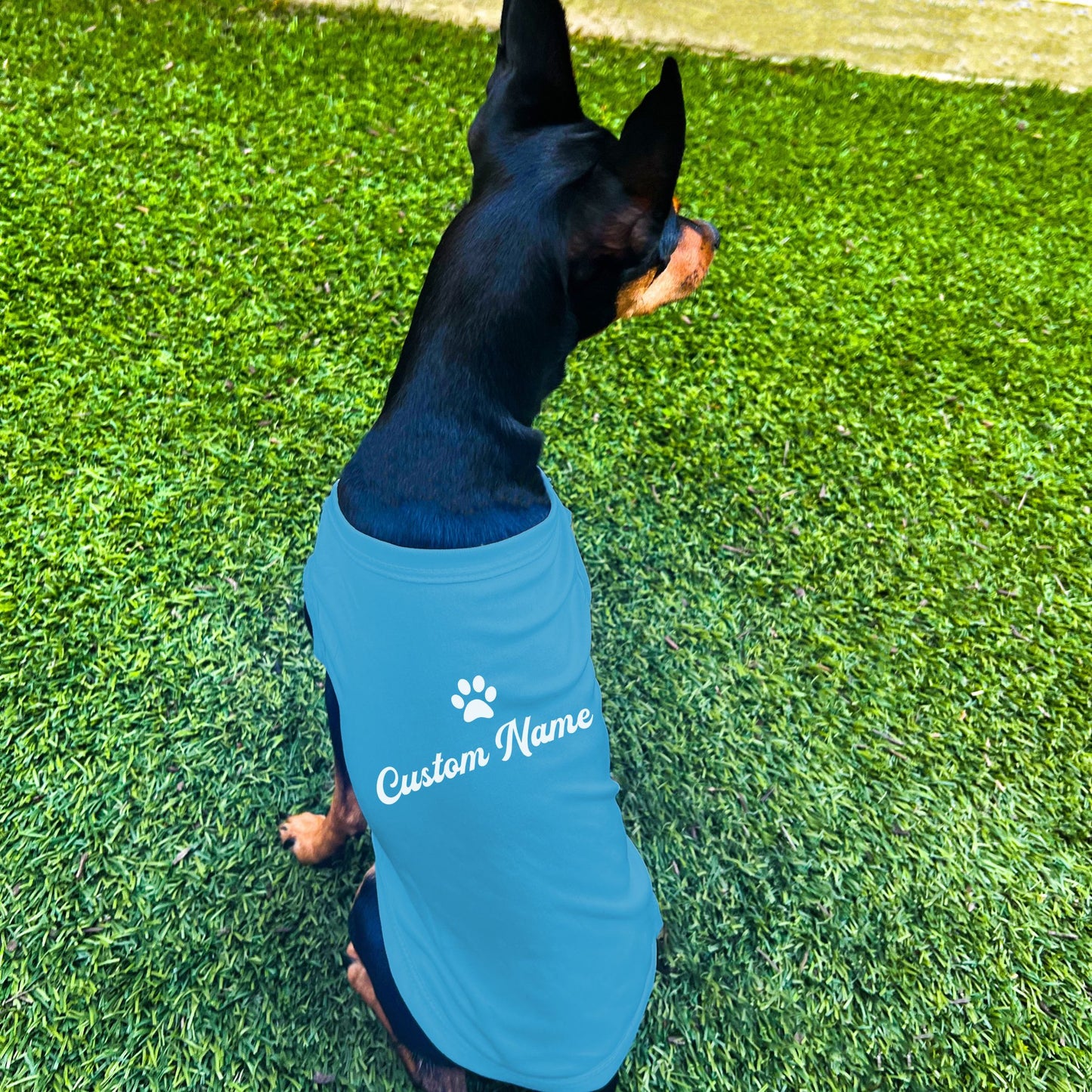 "Personalize Paw" Custom Dog Shirt