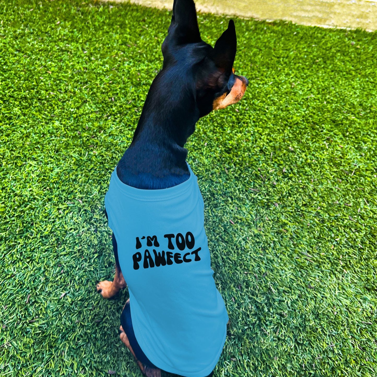 "I'm Too Pawfect" Dog Shirt