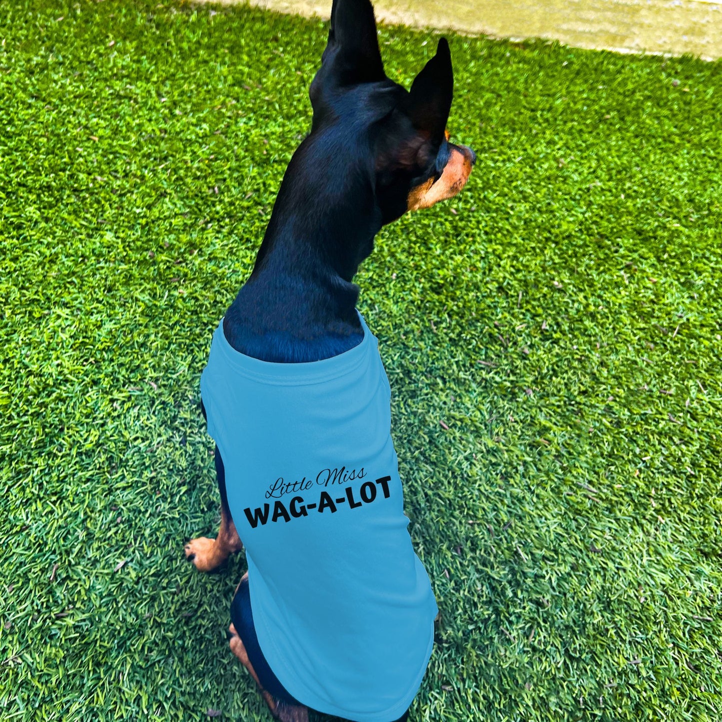 "Little Miss Wag-A-Lot" Dog Shirt