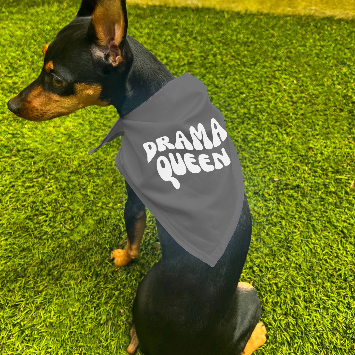 "Drama Queen" Retro Wave Dog Bandana