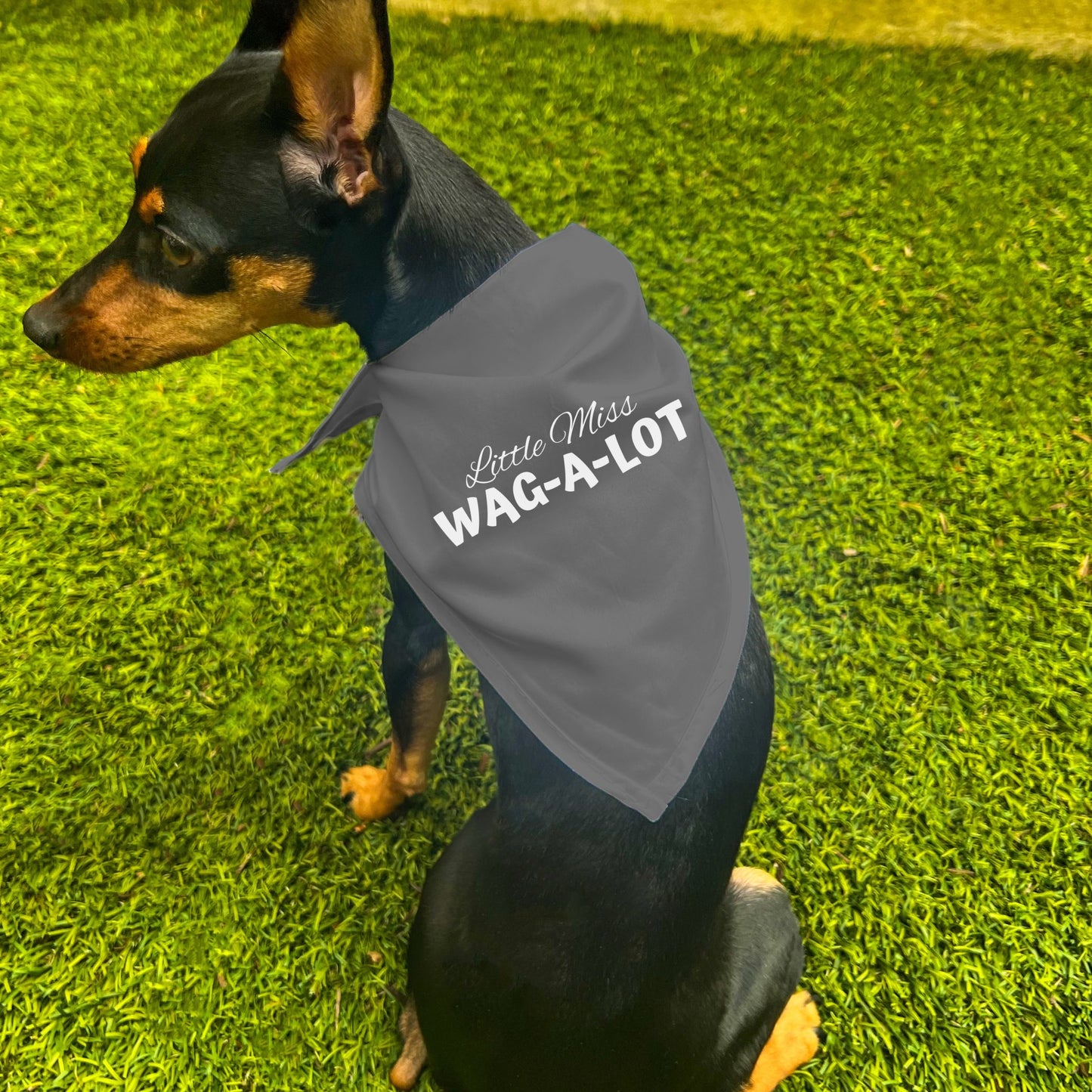 "Little Miss Wag-A-Lot" Dog Bandana