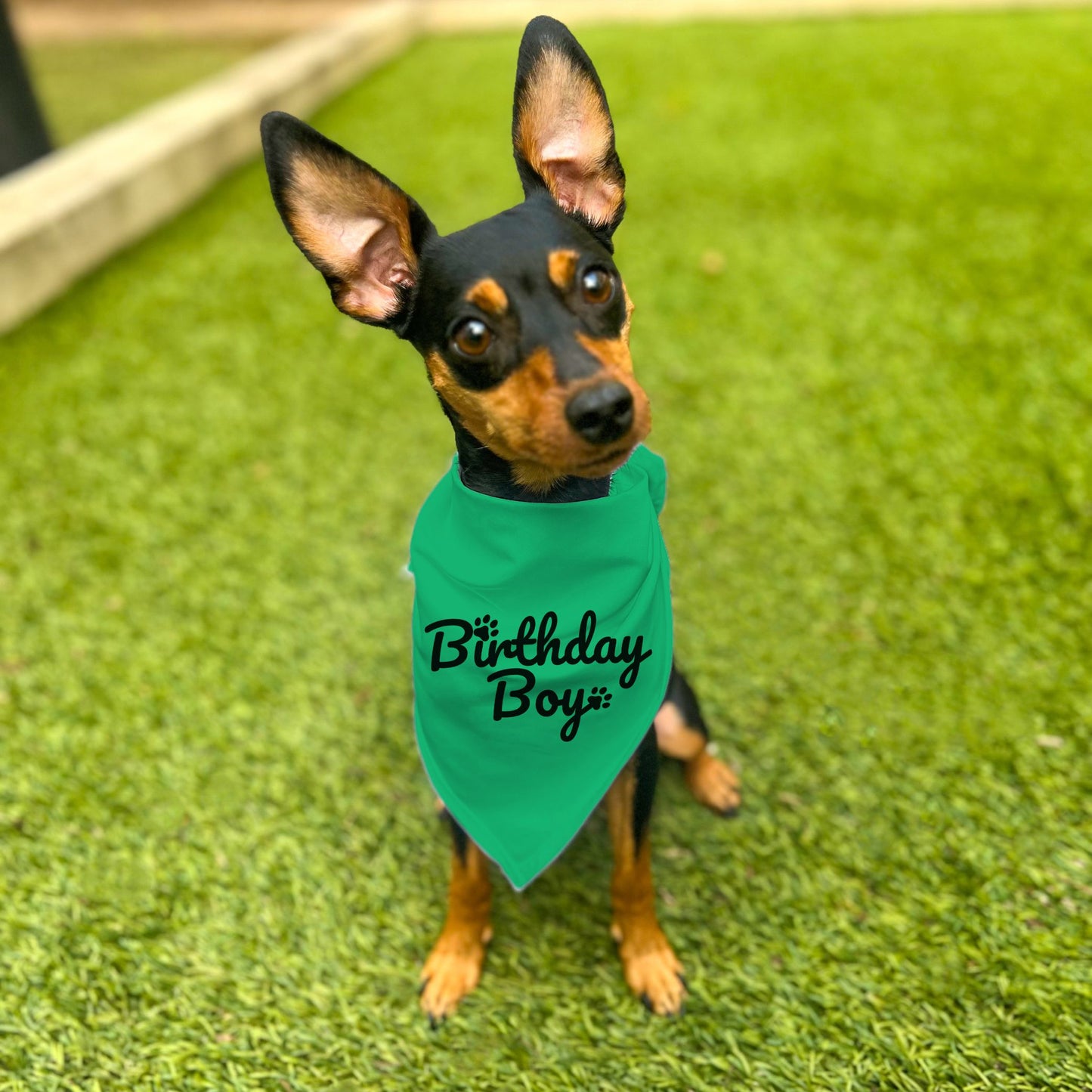 "Birthday Boy" Dog Bandana