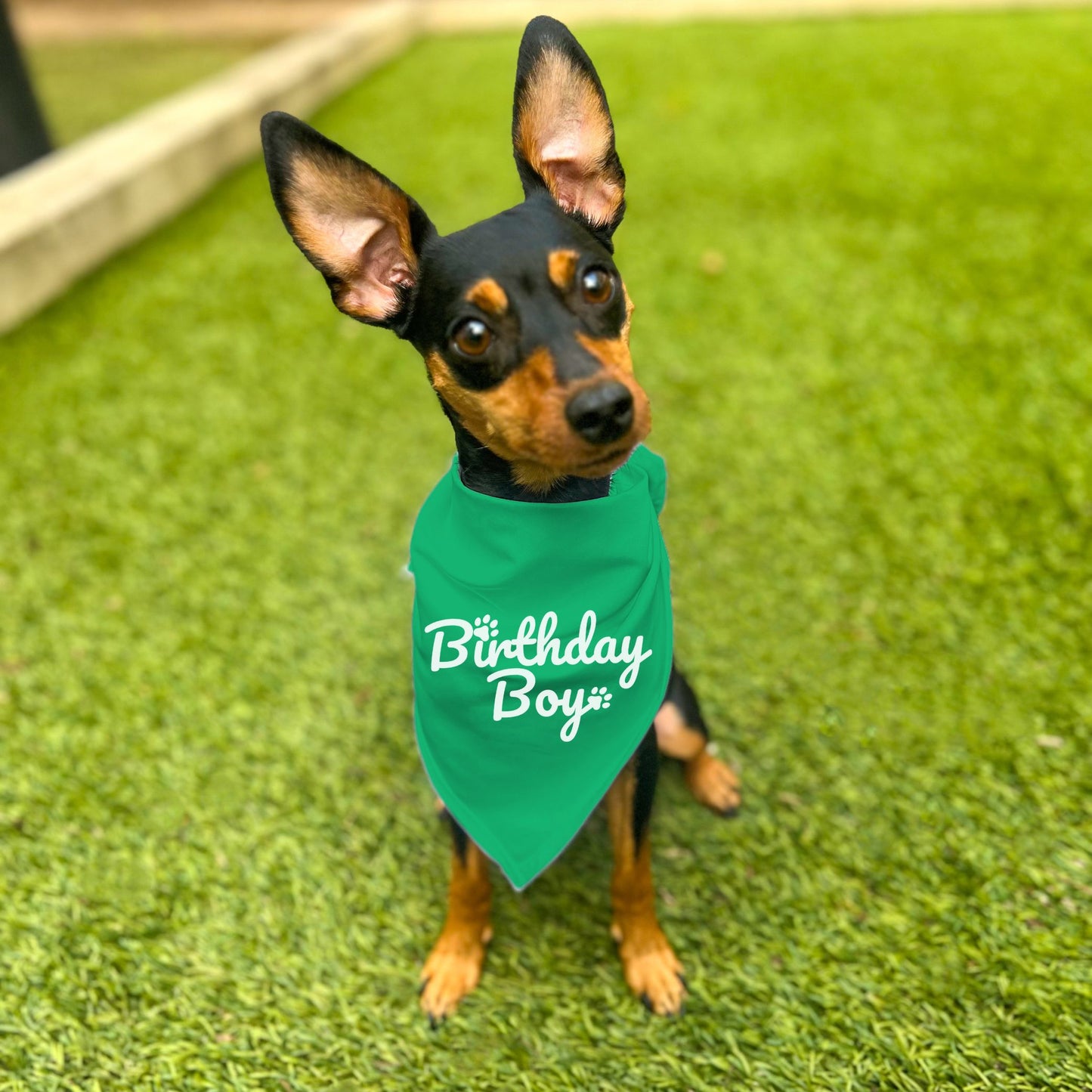 "Birthday Boy" Dog Bandana