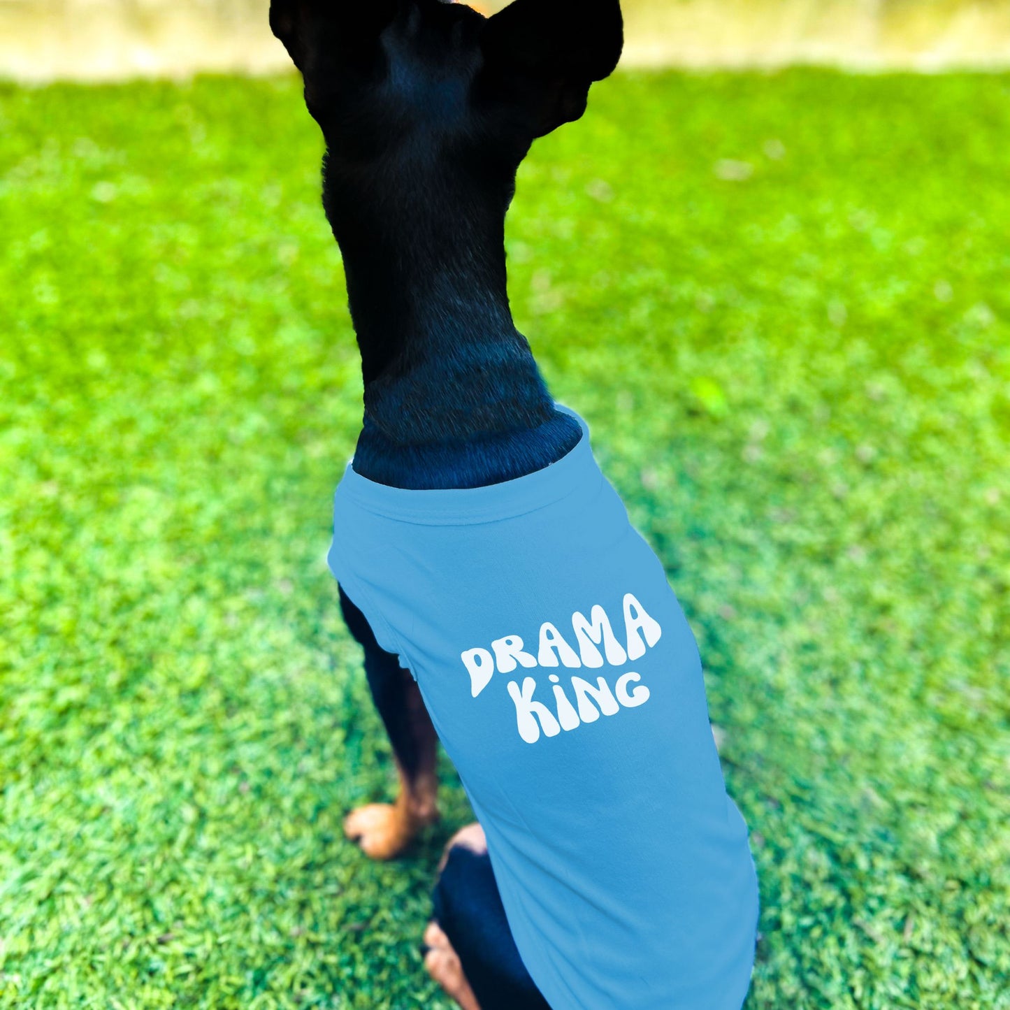"Drama King" Retro Wave Dog Shirt
