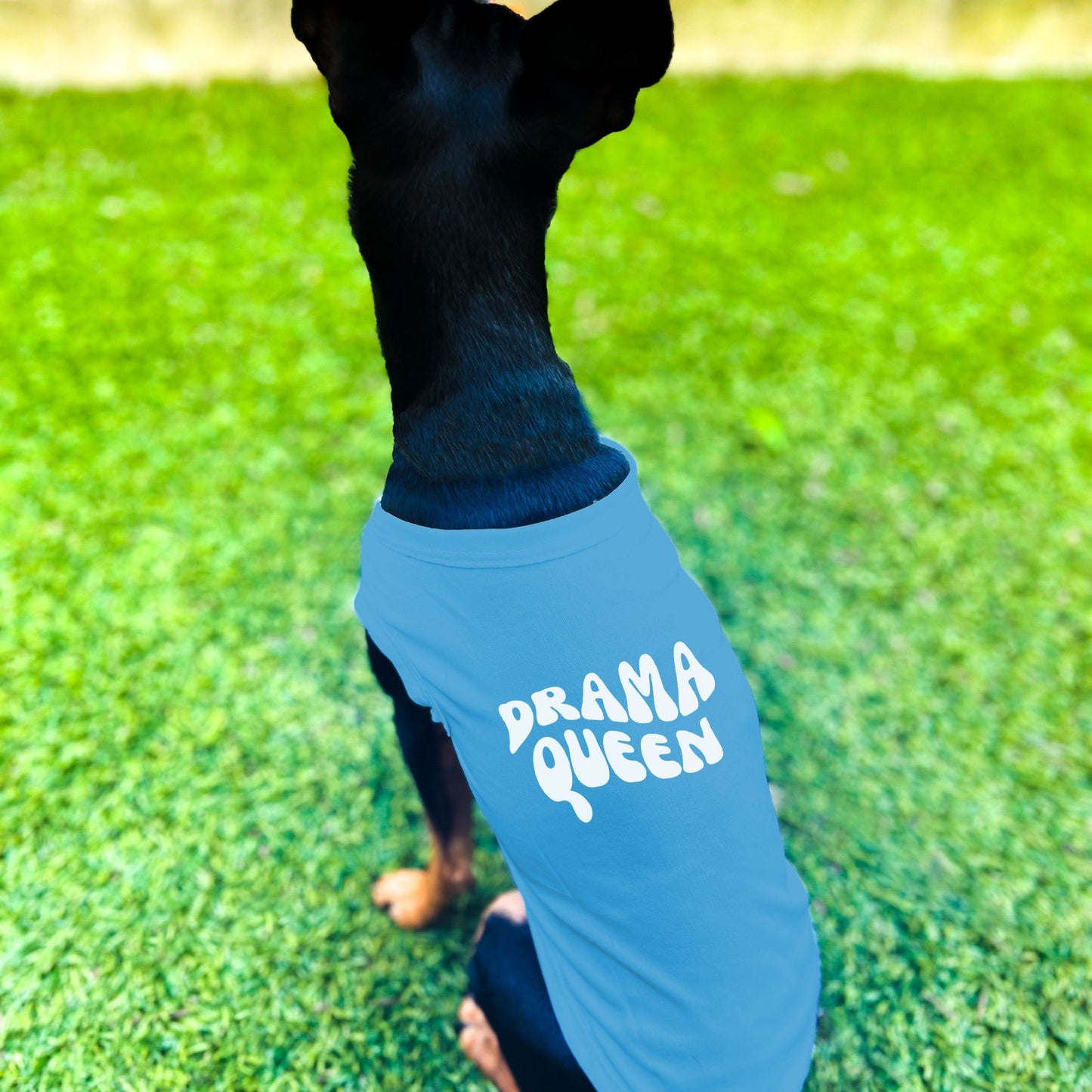 "Drama Queen" Retro Wave Dog Shirt