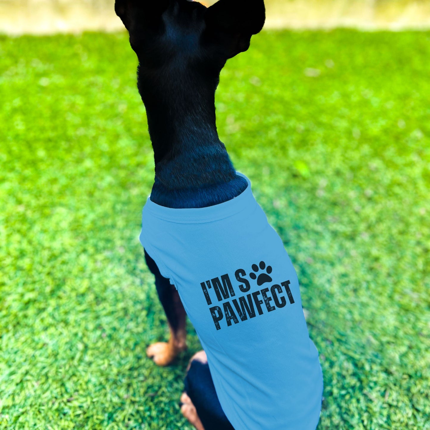 "I'm SO Pawfect" Dog Shirt