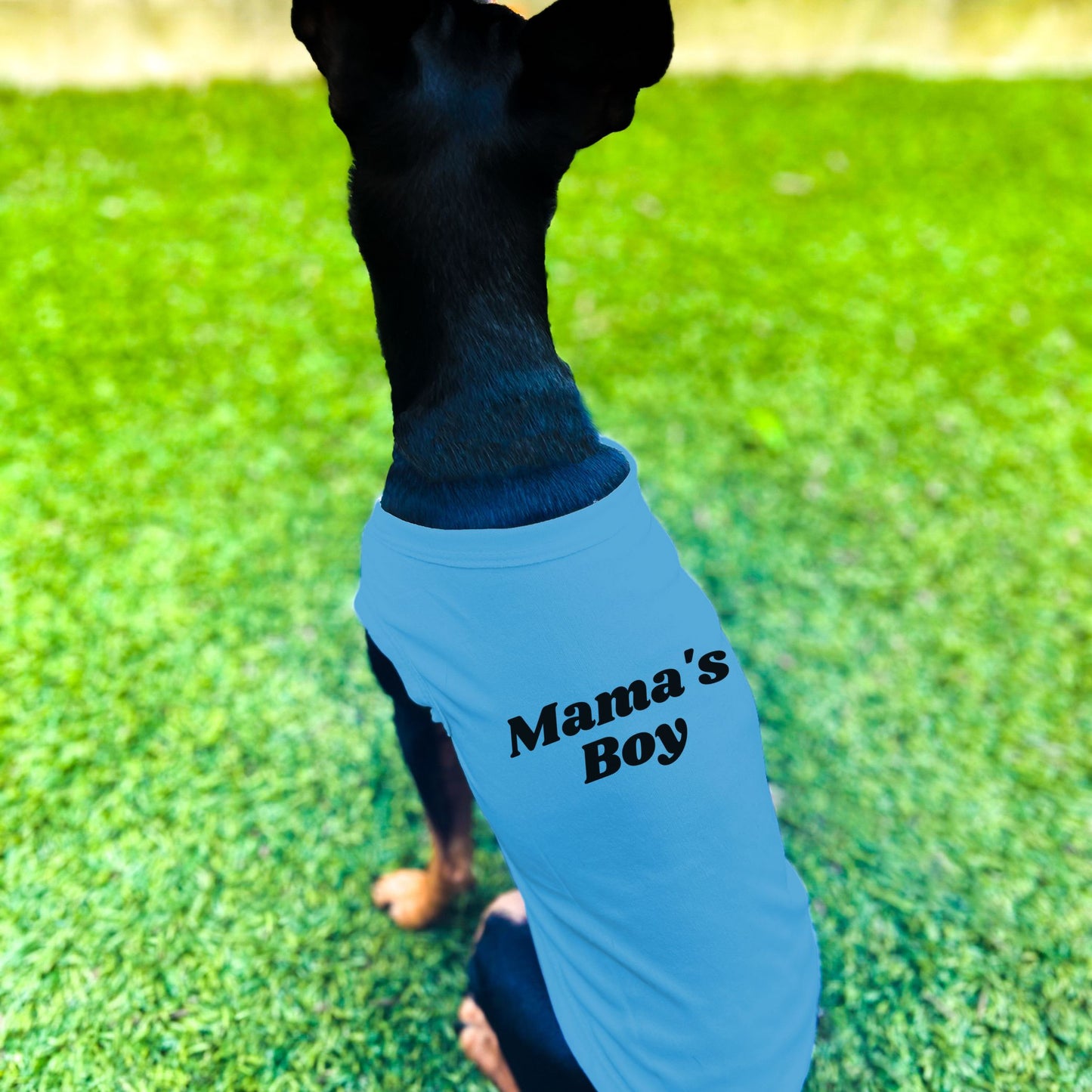 "Mama's Boy" Dog Shirt