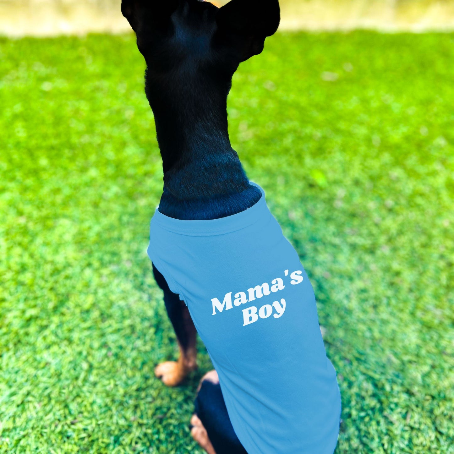 "Mama's Boy" Dog Shirt