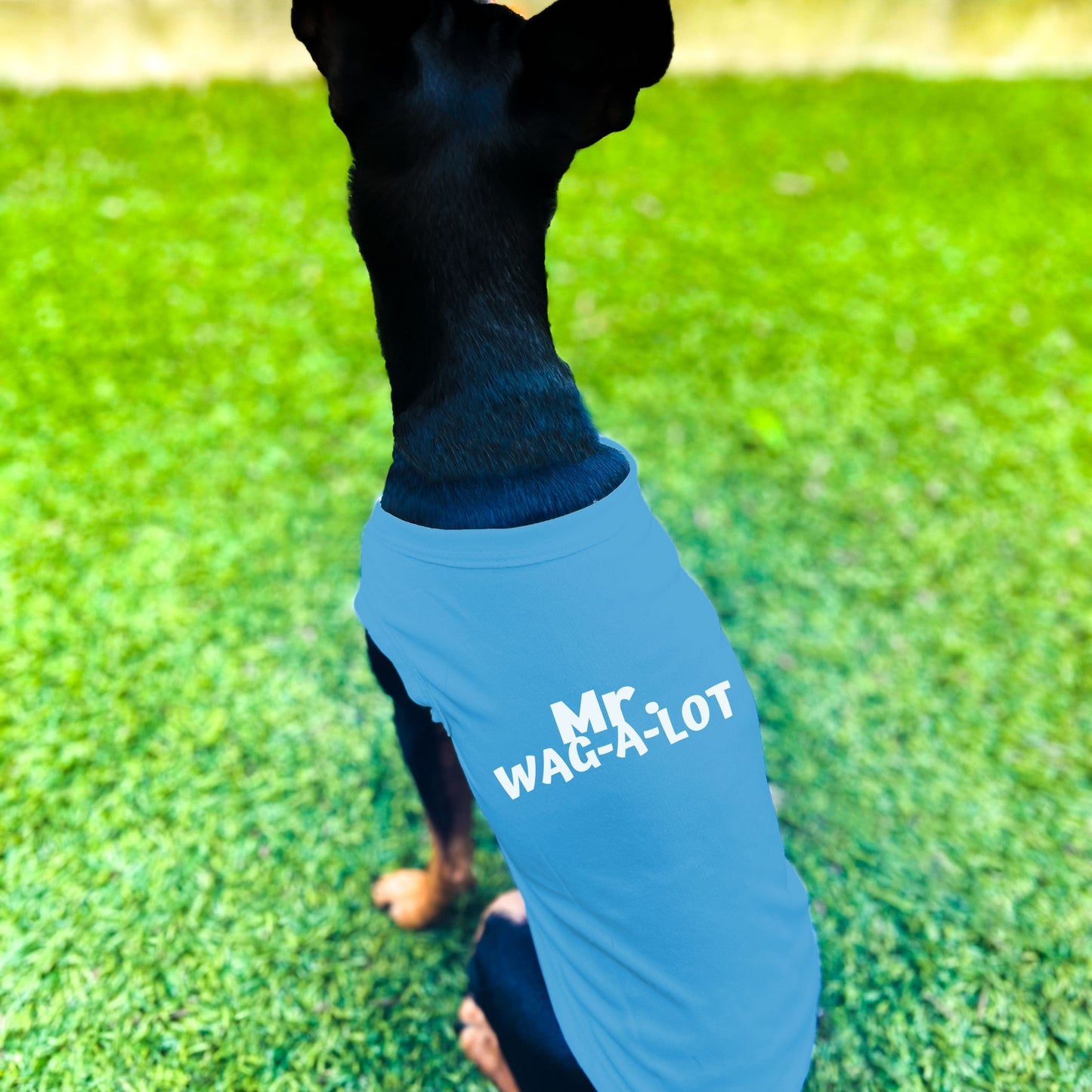 "Mr. Wag-A-Lot" Dog Shirt