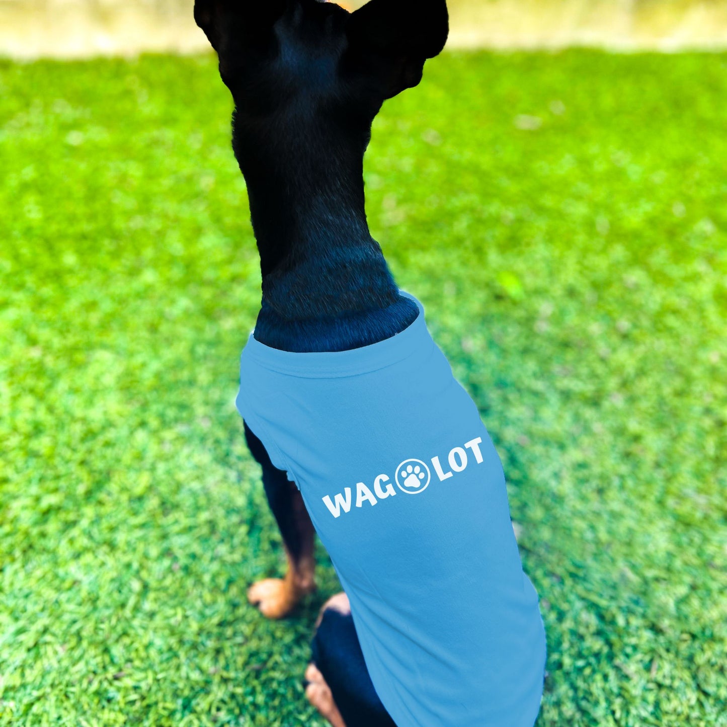 "Wag-A-Lot" Dog Shirt