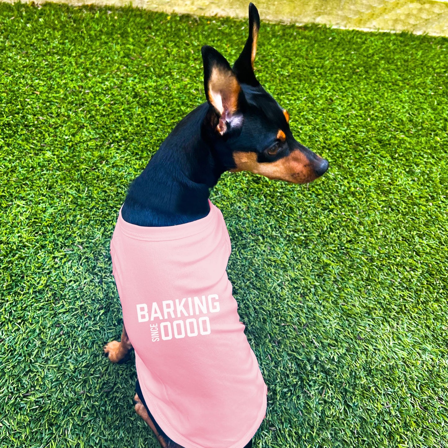 "Barking Since 0000" Custom Dog Shirt