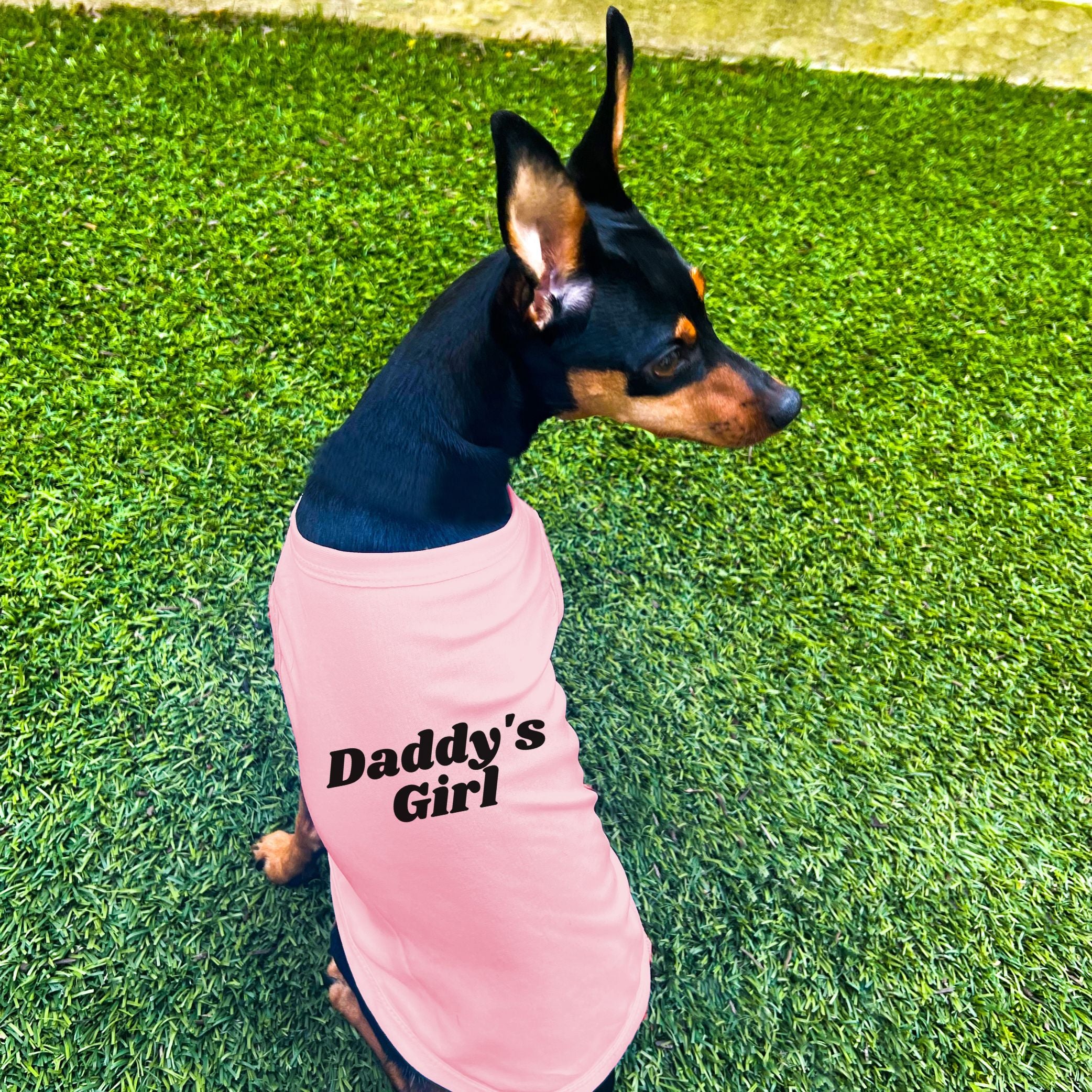 Daddy's girl dog outlet sweater