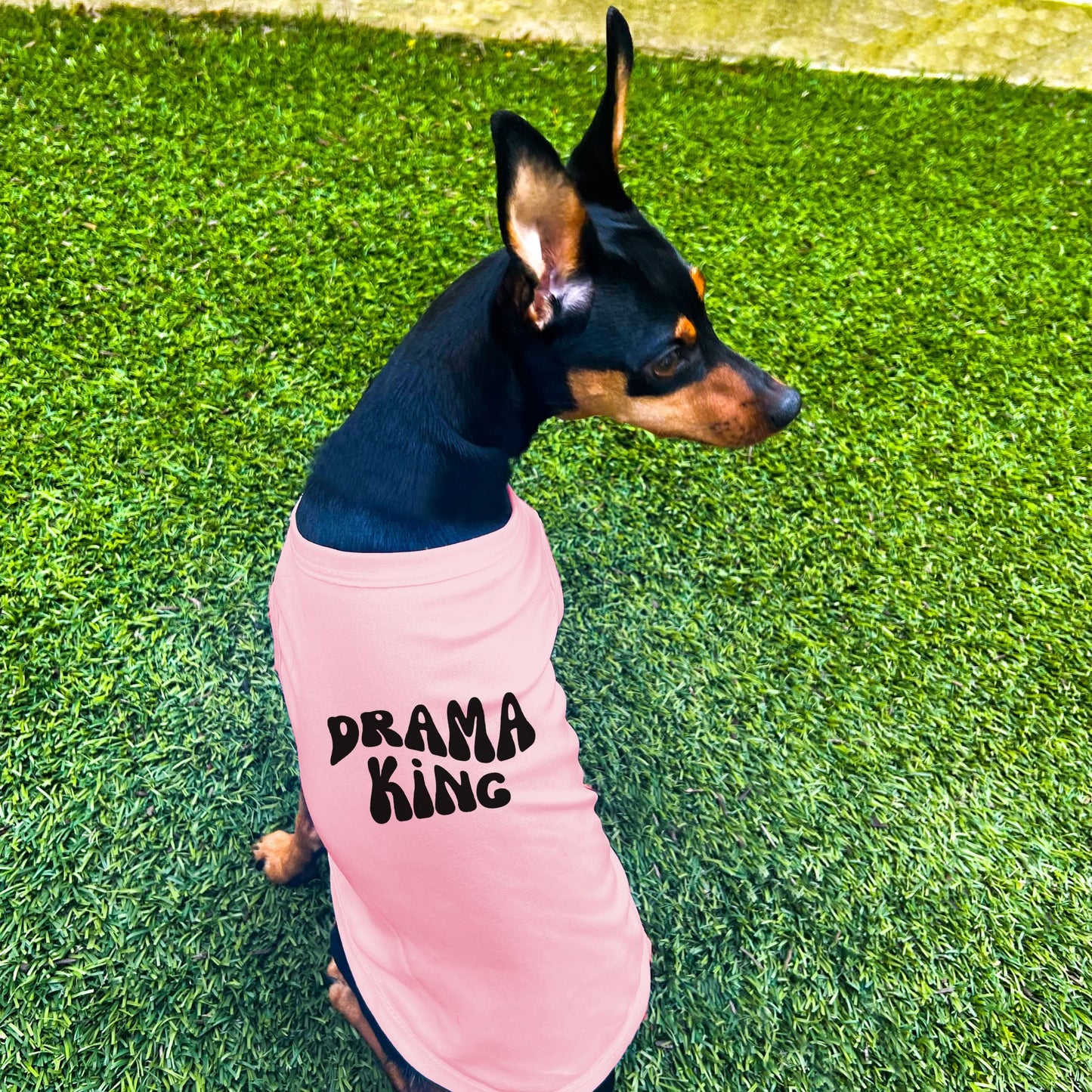 "Drama King" Retro Wave Dog Shirt