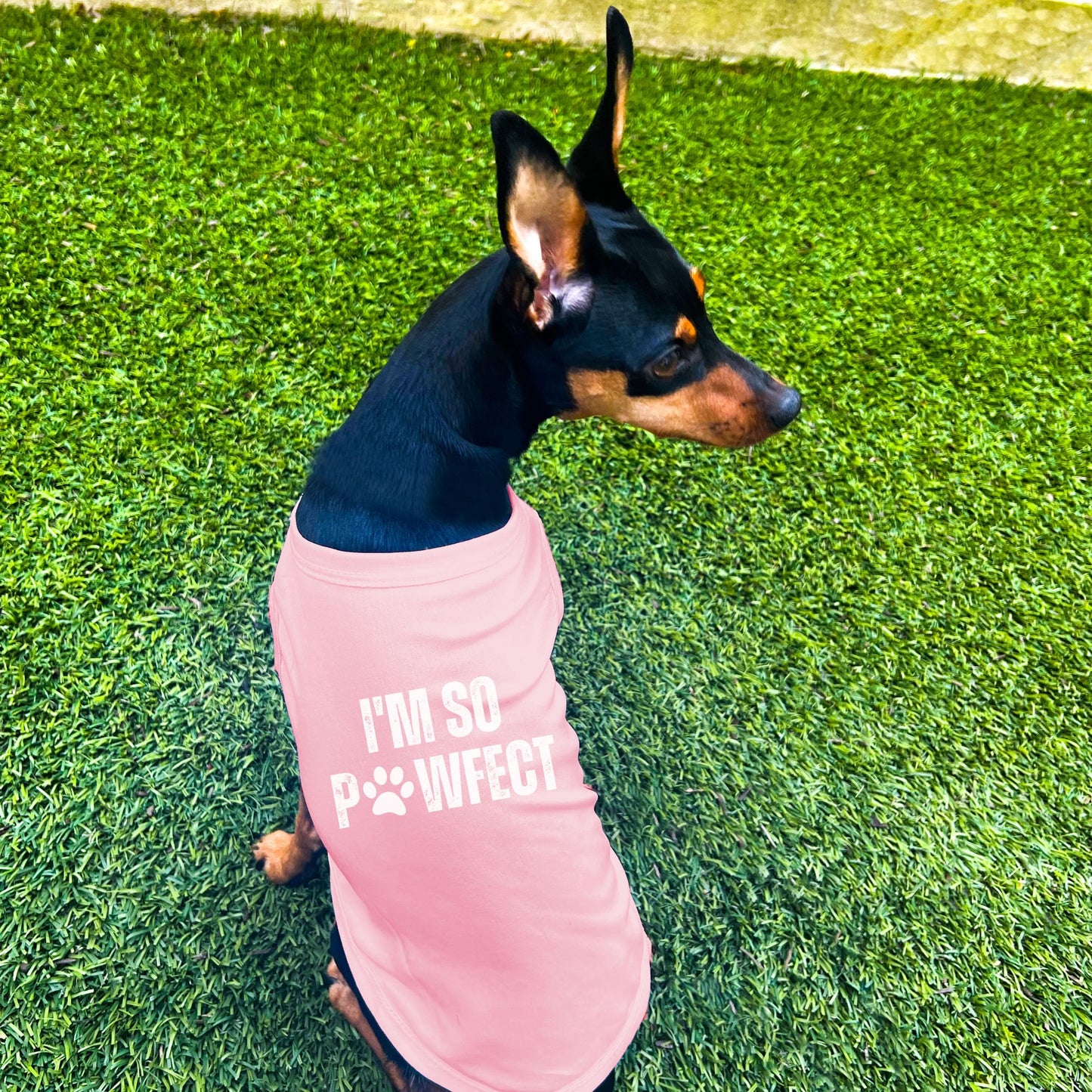 "I'm So PAWfect" Dog Shirt