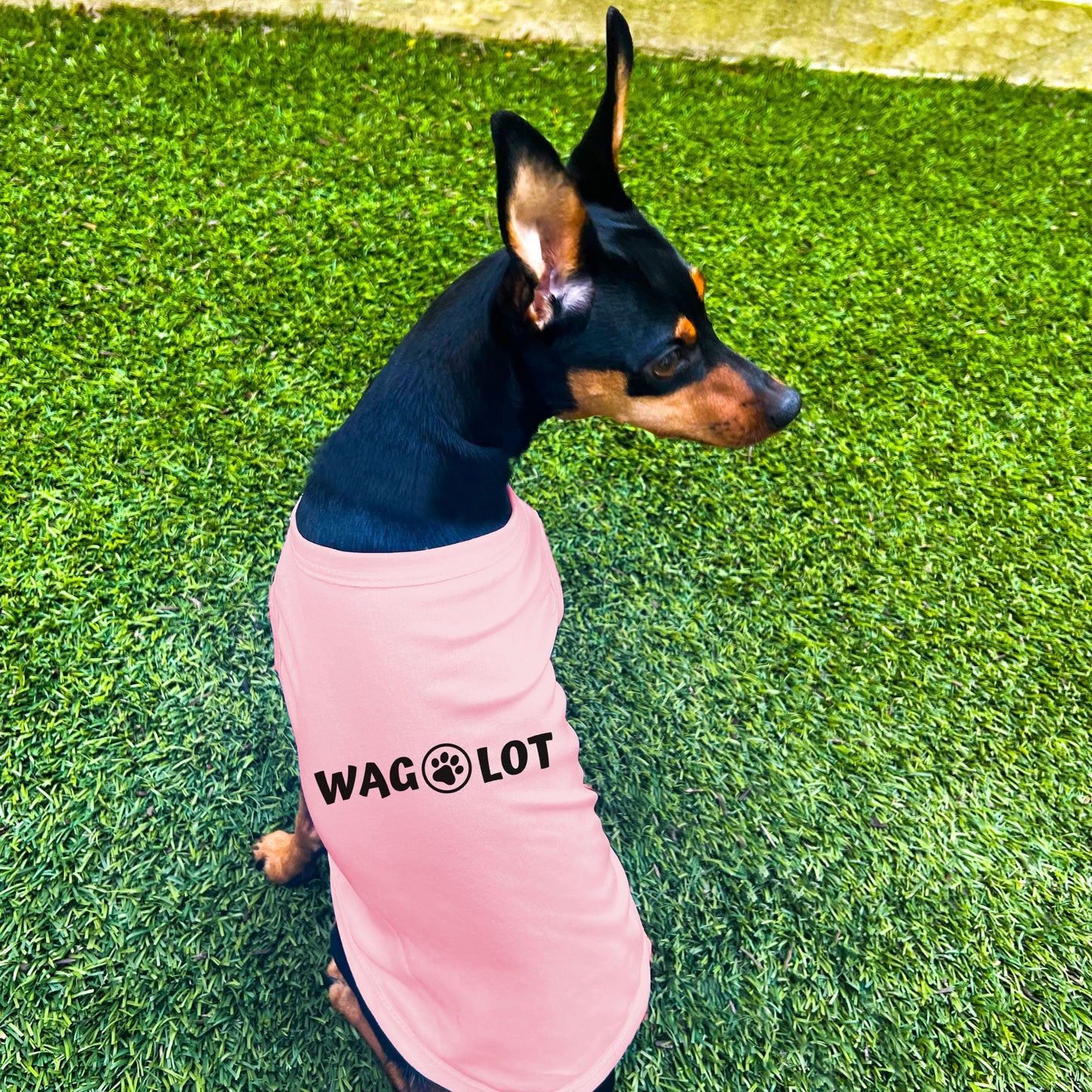 "Wag-A-Lot" Dog Shirt