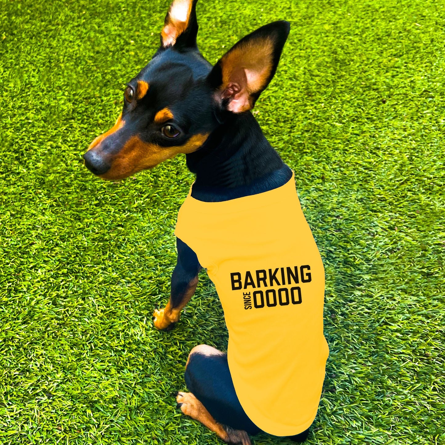 "Barking Since 0000" Custom Dog Shirt