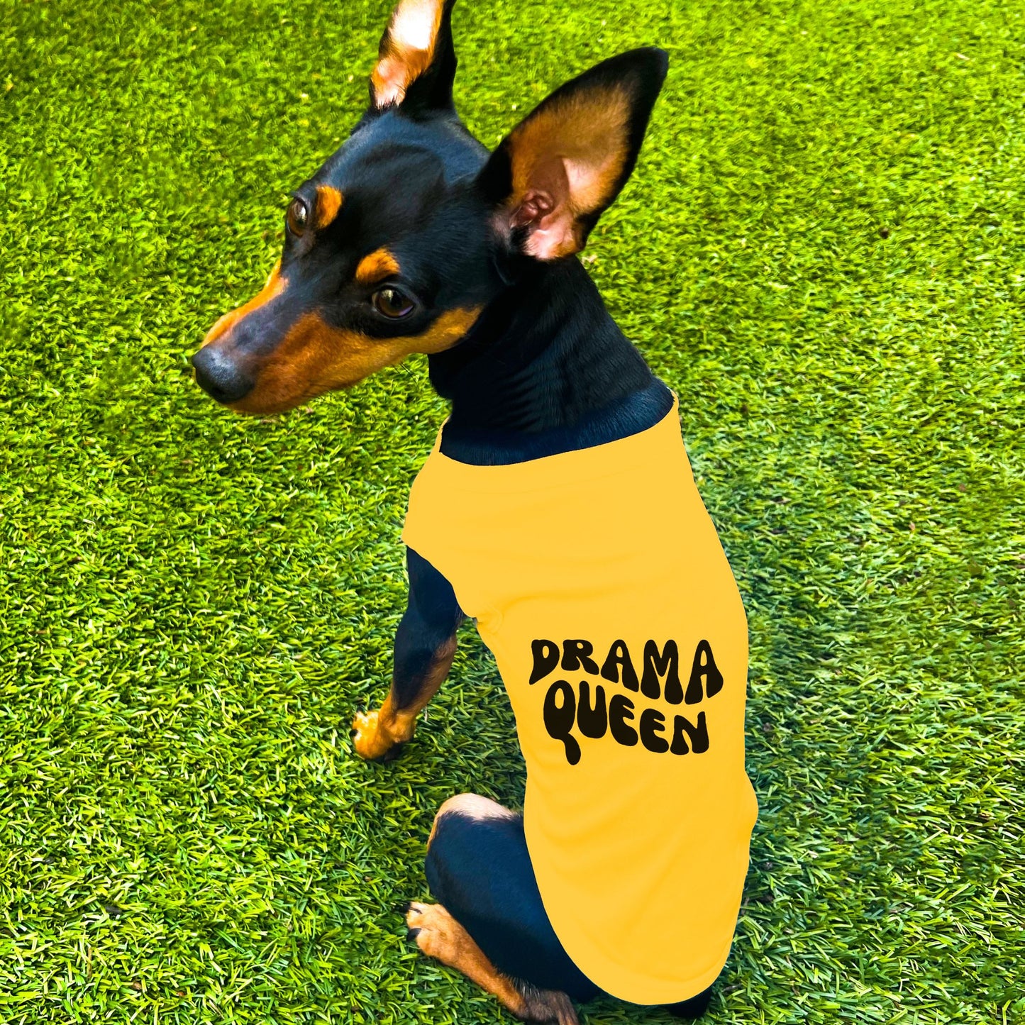 "Drama Queen" Retro Wave Dog Shirt