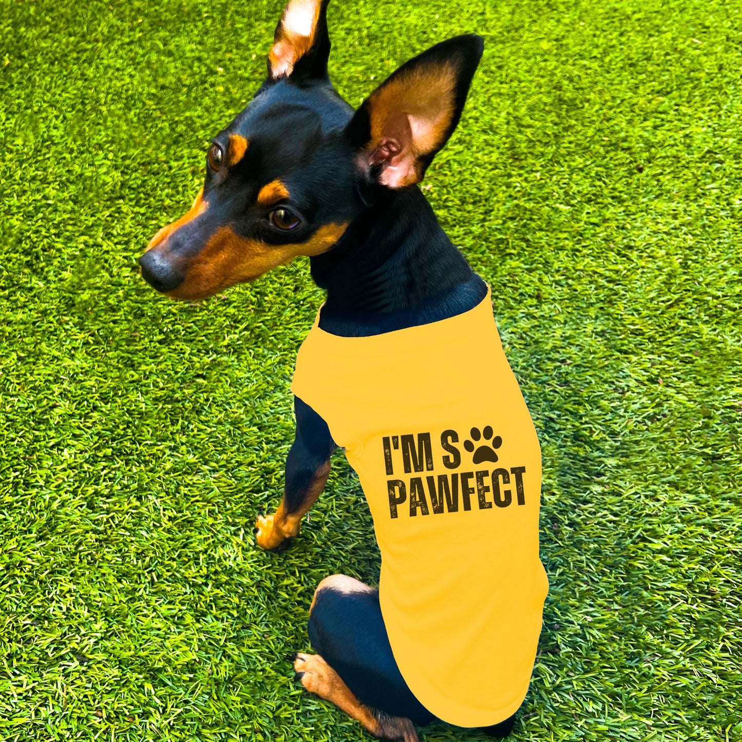 "I'm SO Pawfect" Dog Shirt