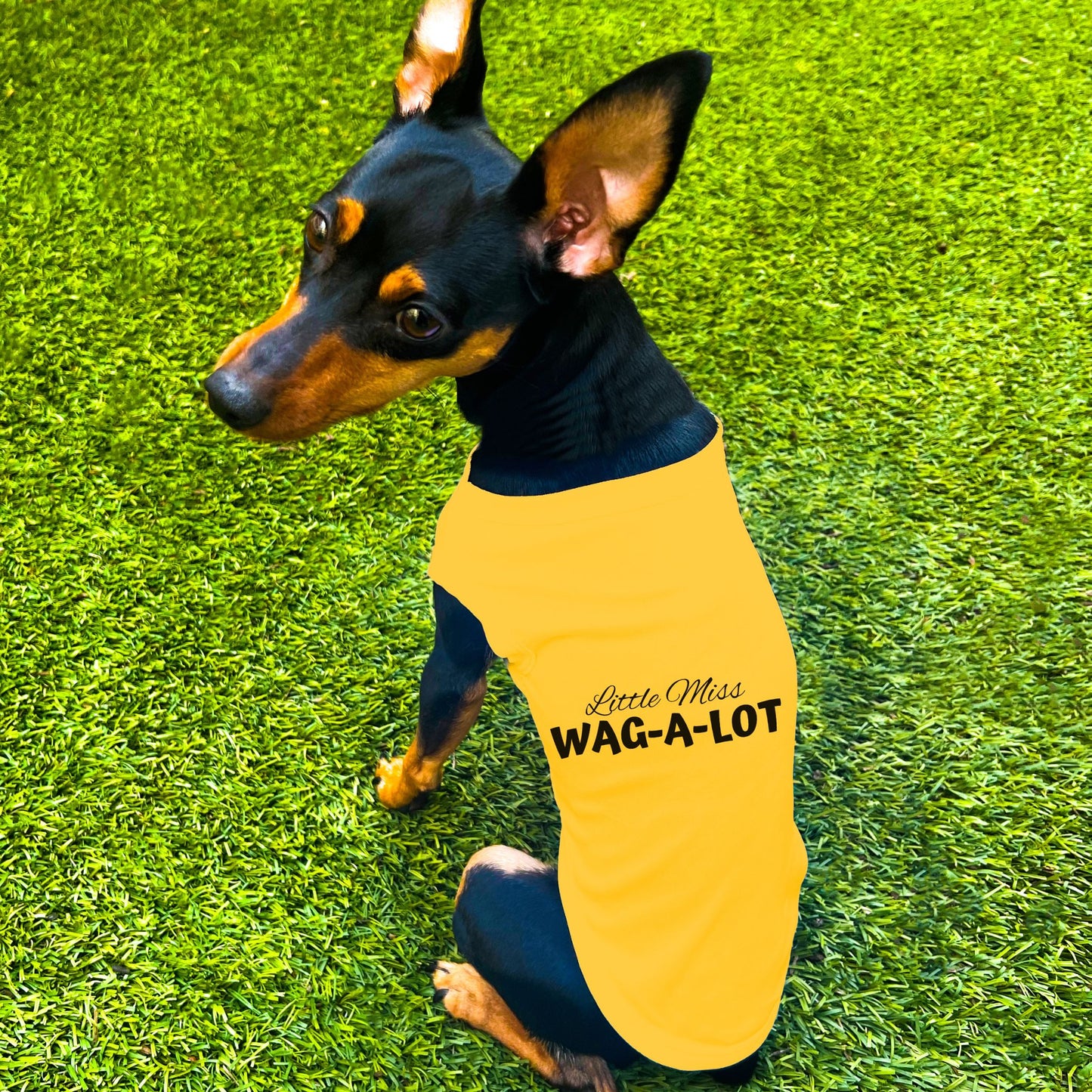 "Little Miss Wag-A-Lot" Dog Shirt