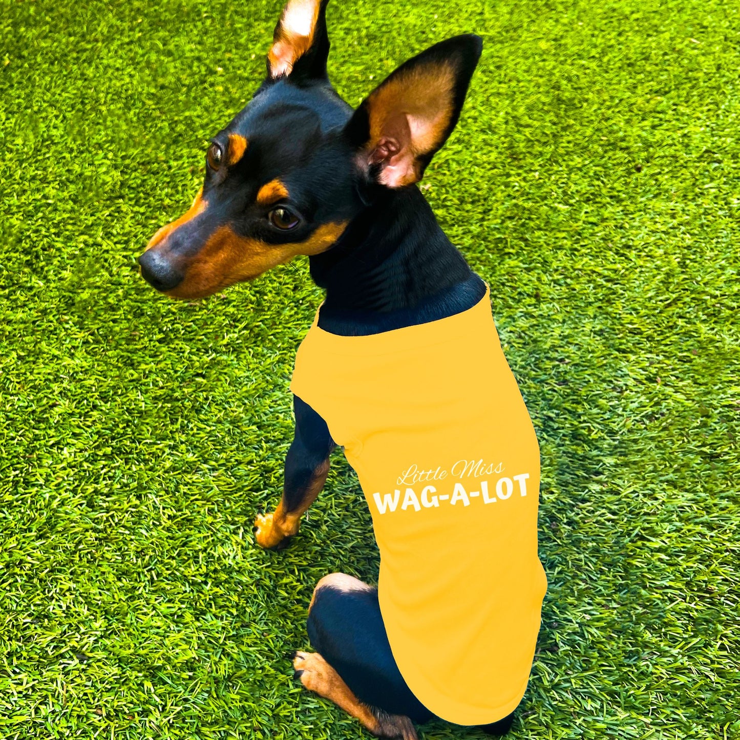 "Little Miss Wag-A-Lot" Dog Shirt