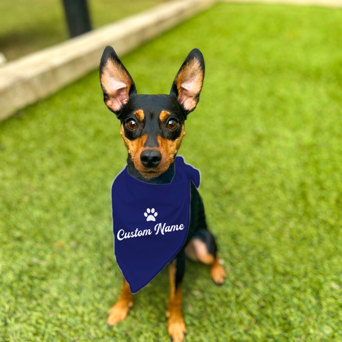 "Personalize Paw" Custom Dog Bandana