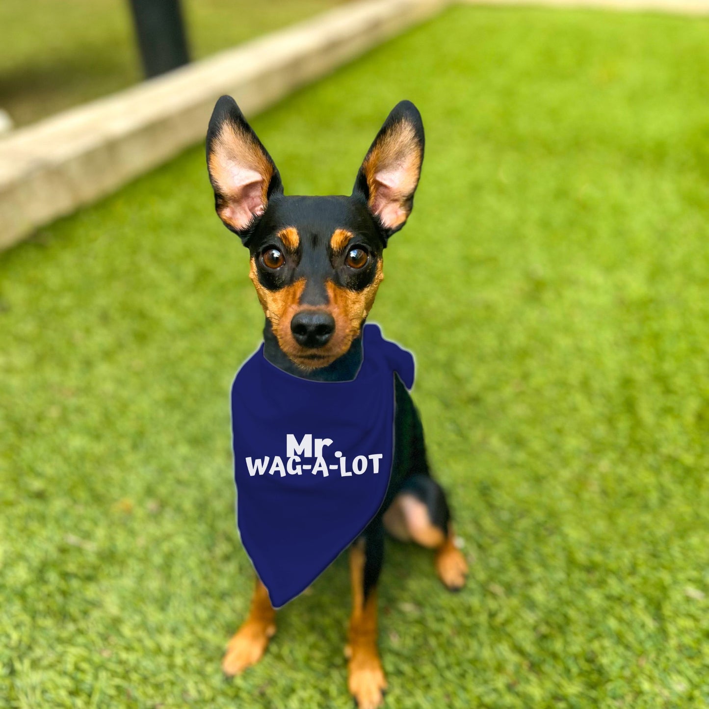 "Mr. Wag-A-Lot" Dog Bandana