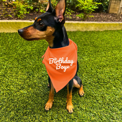 "Birthday Boy" Dog Bandana