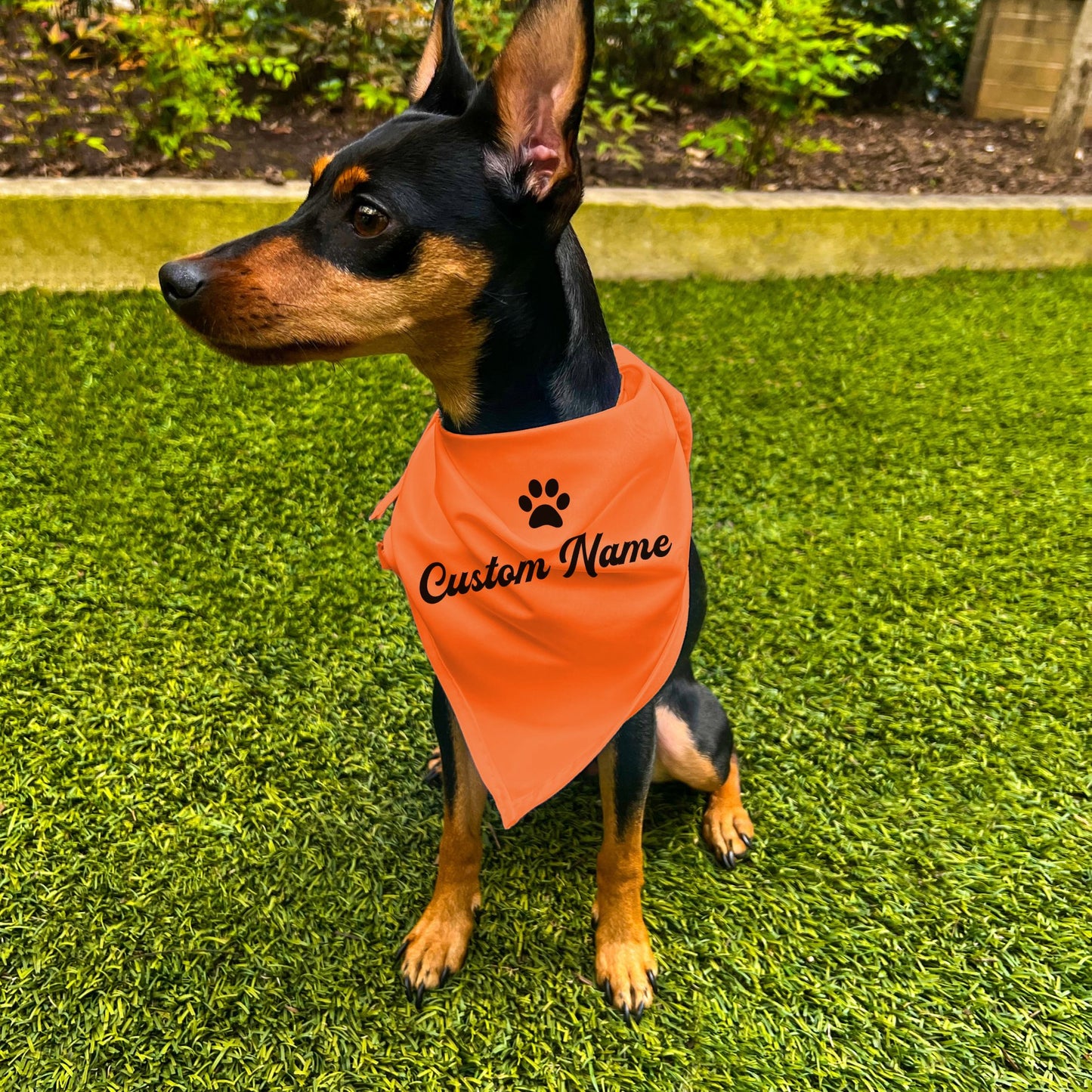 "Personalize Paw" Custom Dog Bandana