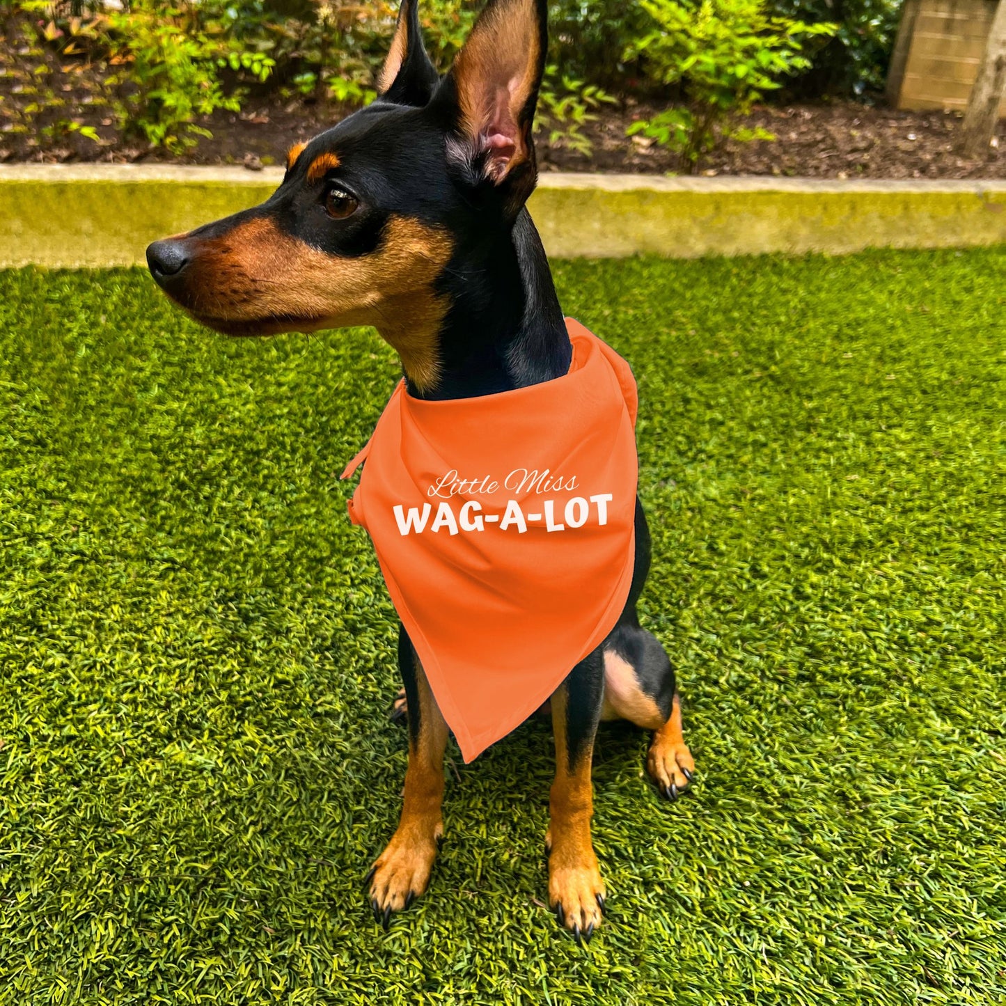 "Little Miss Wag-A-Lot" Dog Bandana