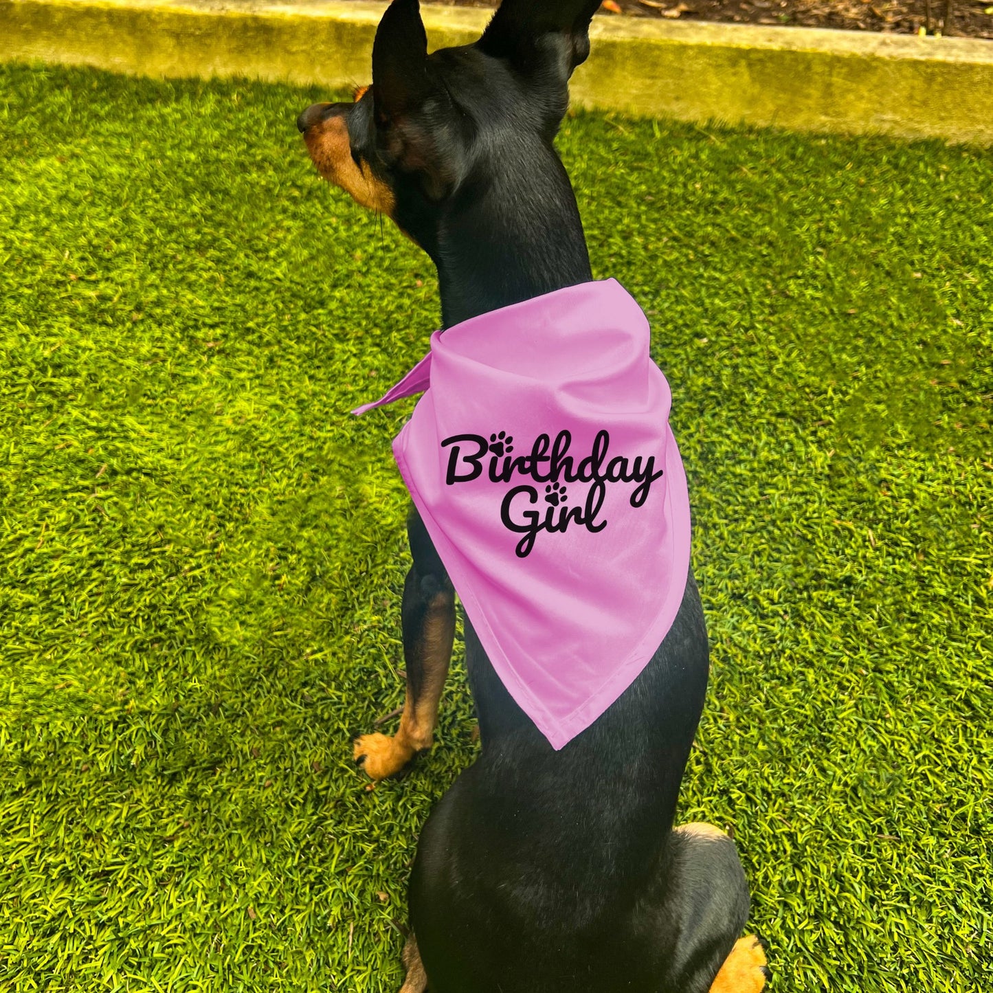 "Birthday Girl" Dog Bandana