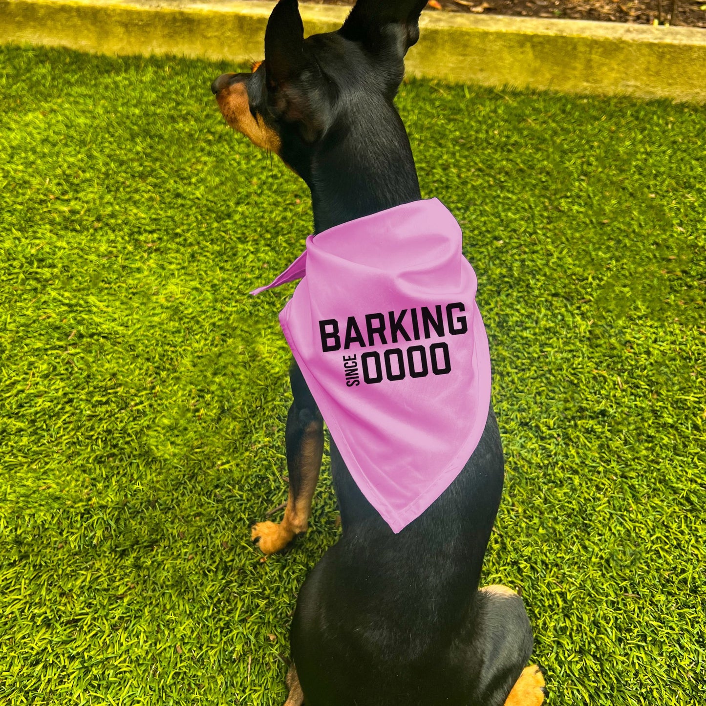 "Barking Since 0000" Custom Dog Bandana