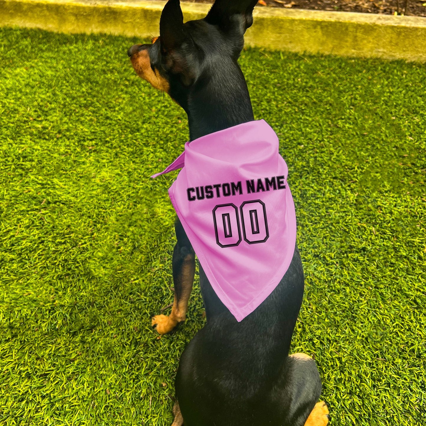 "Team Jersey 00" Custom Dog Bandana