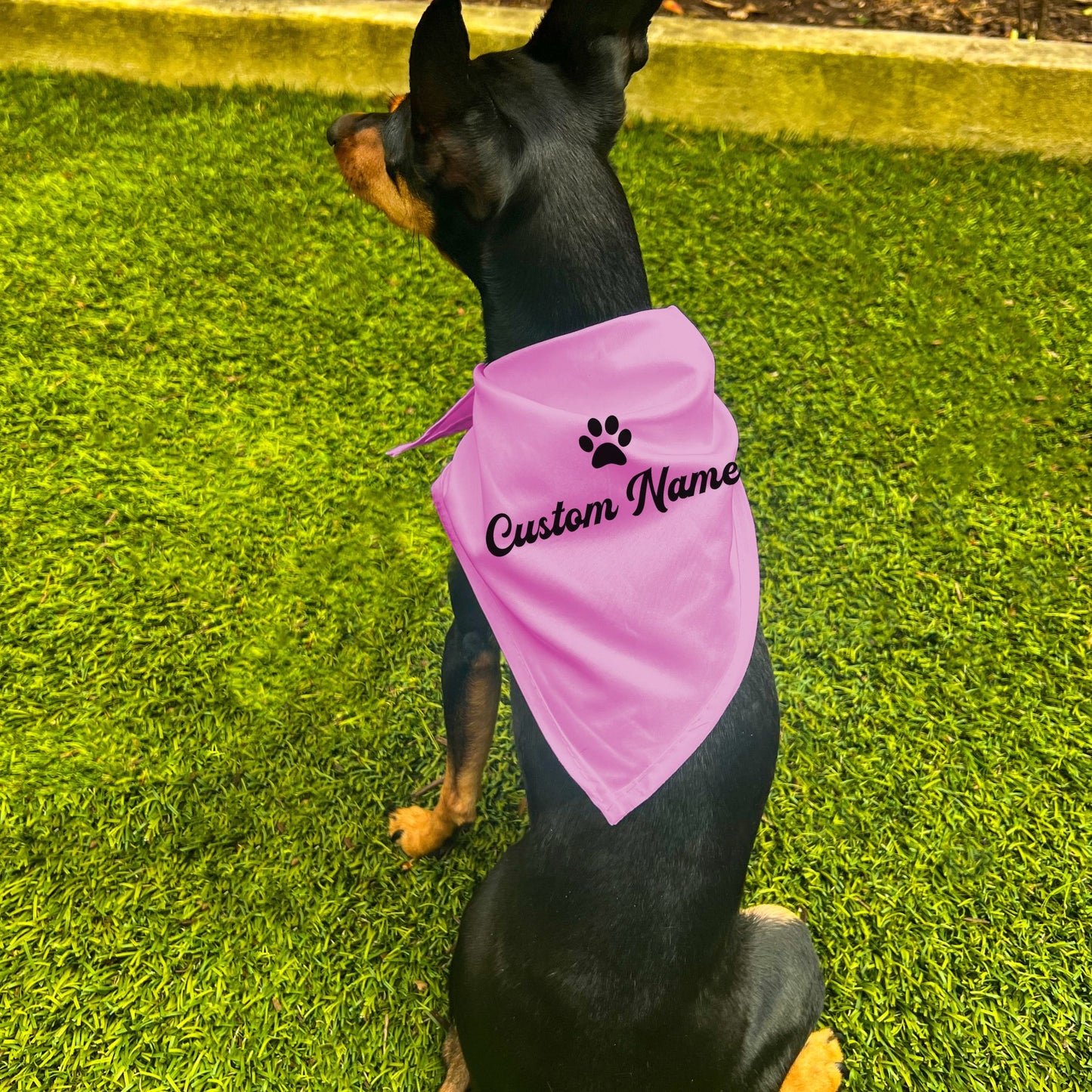 "Personalize Paw" Custom Dog Bandana