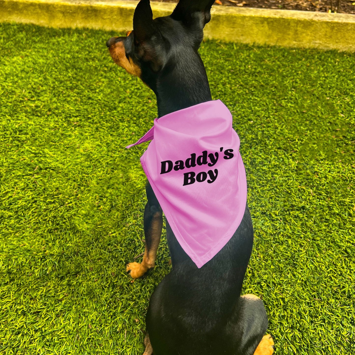 "Daddy's Boy" Dog Bandana