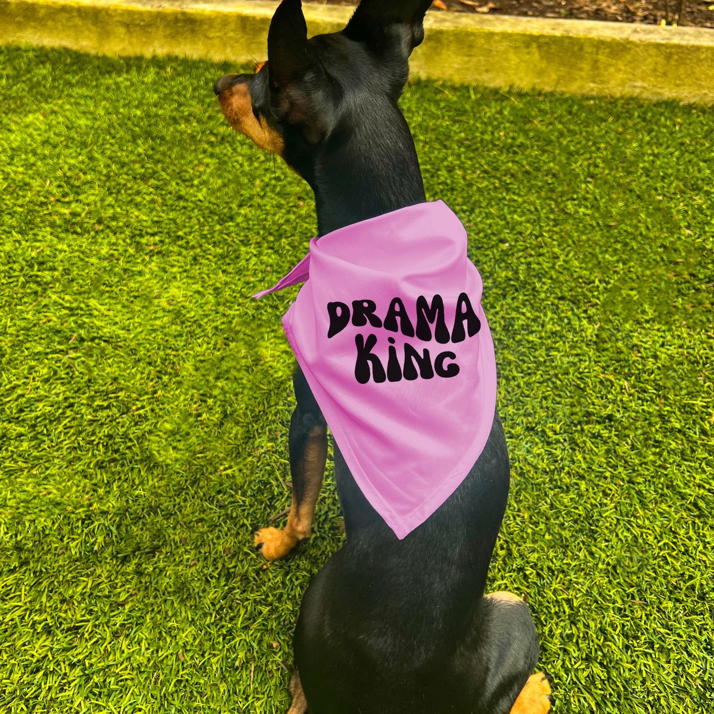 "Drama King" Retro Wave Dog Bandana