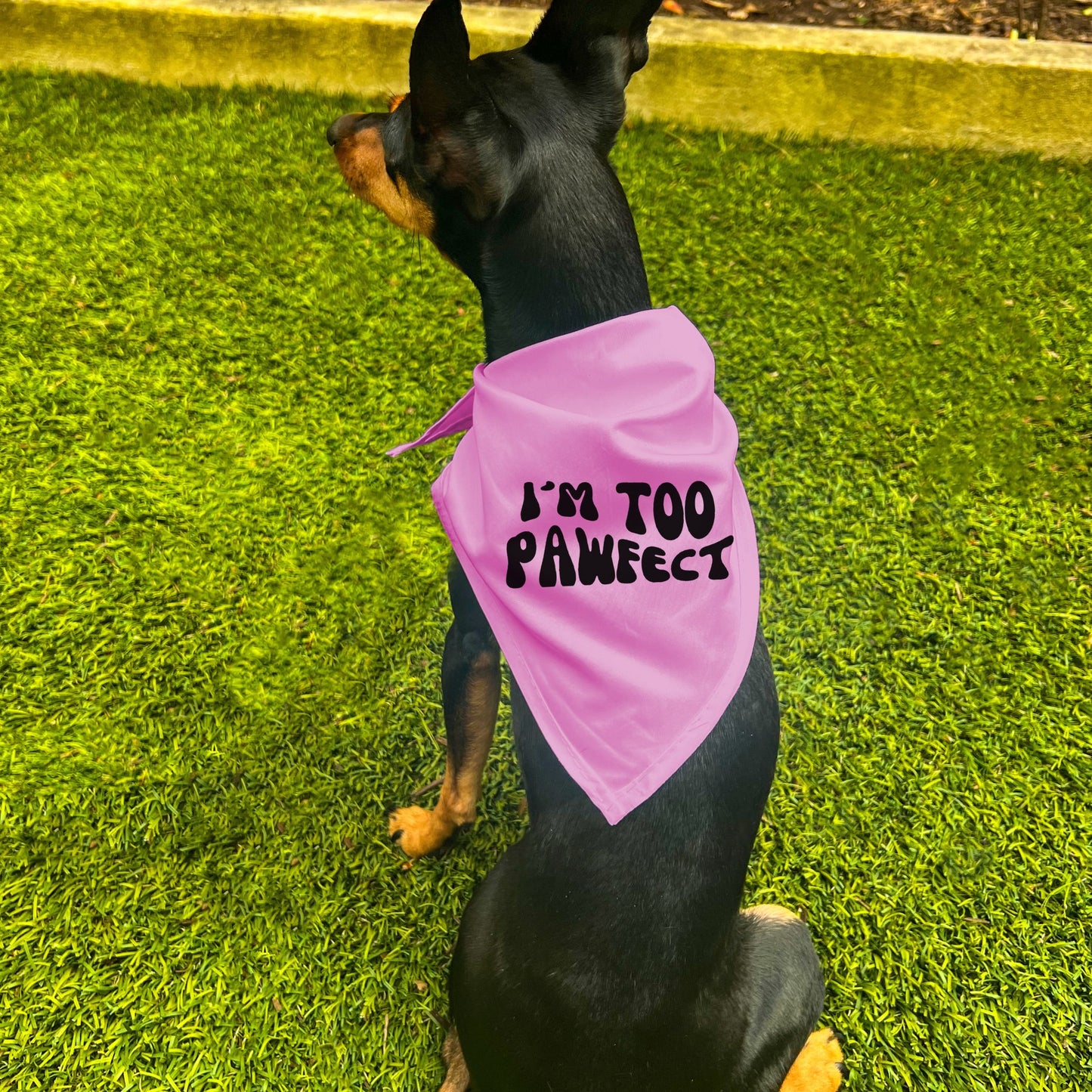 "I'm Too Pawfect" Dog Bandana