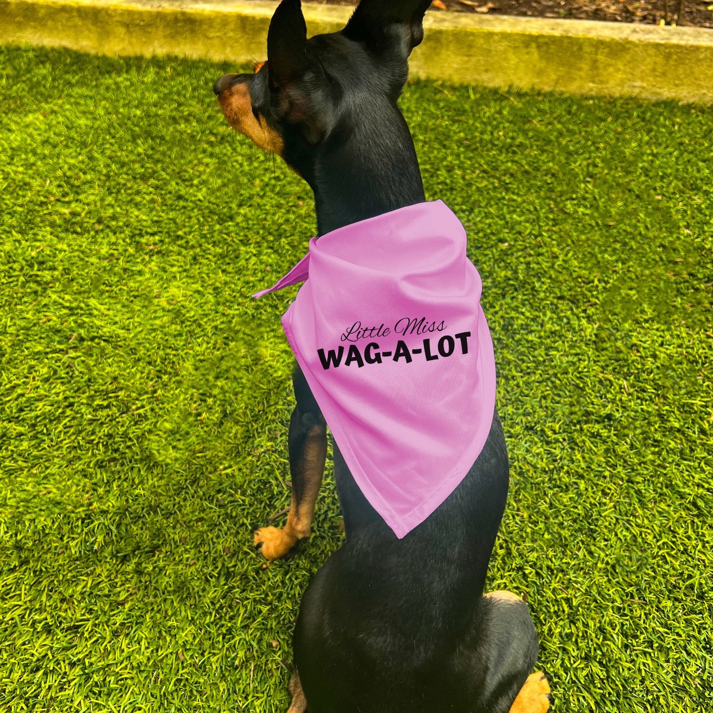 "Little Miss Wag-A-Lot" Dog Bandana