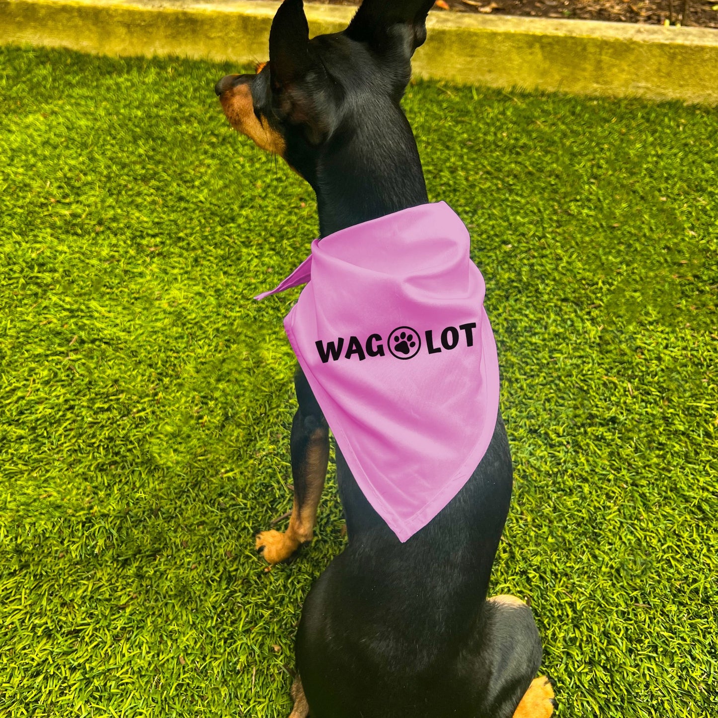 "Wag-A-Lot" Dog Bandana