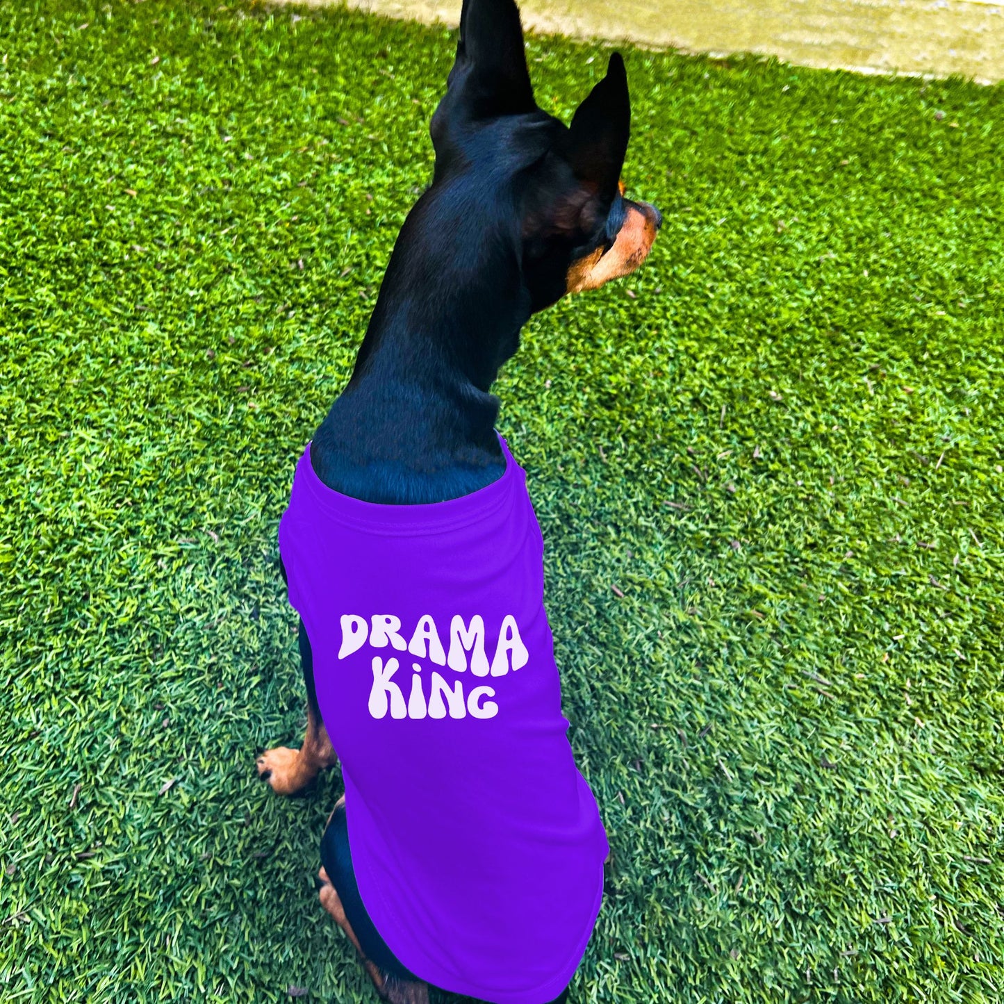 "Drama King" Retro Wave Dog Shirt