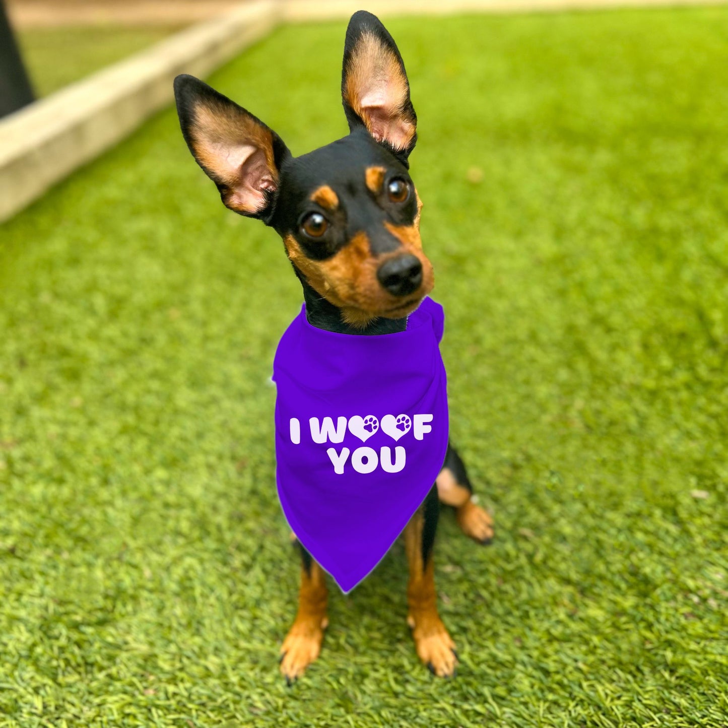 "I Woof You" Dog Bandana