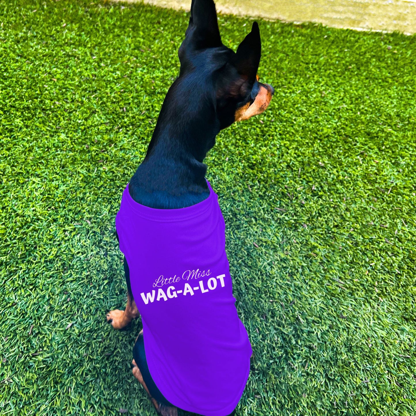 "Little Miss Wag-A-Lot" Dog Shirt