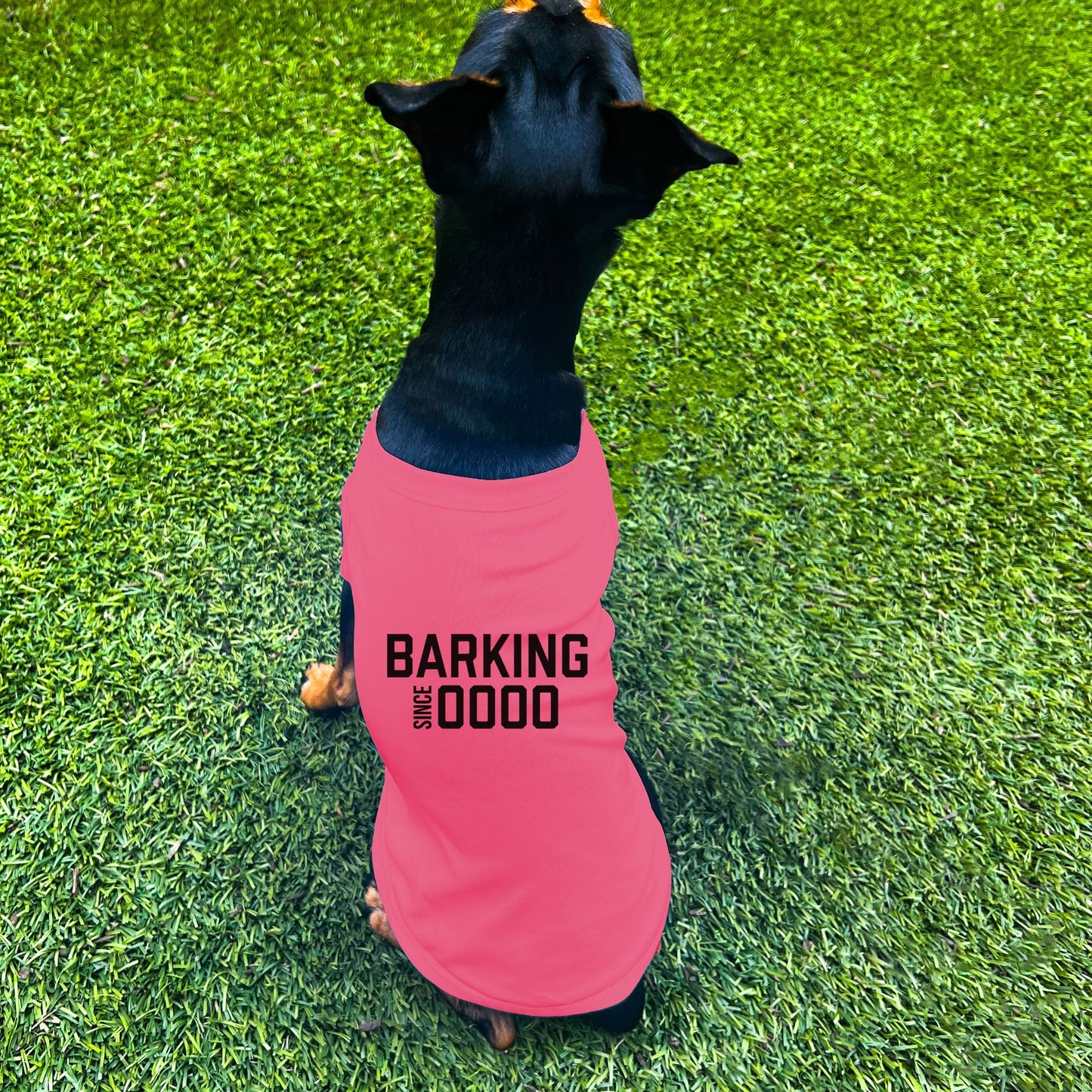 "Barking Since 0000" Custom Dog Shirt