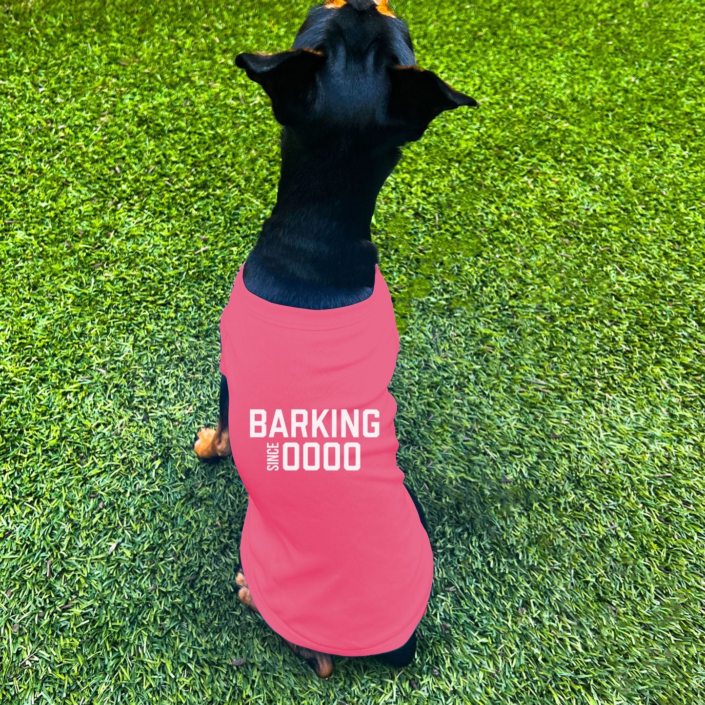 "Barking Since 0000" Custom Dog Shirt