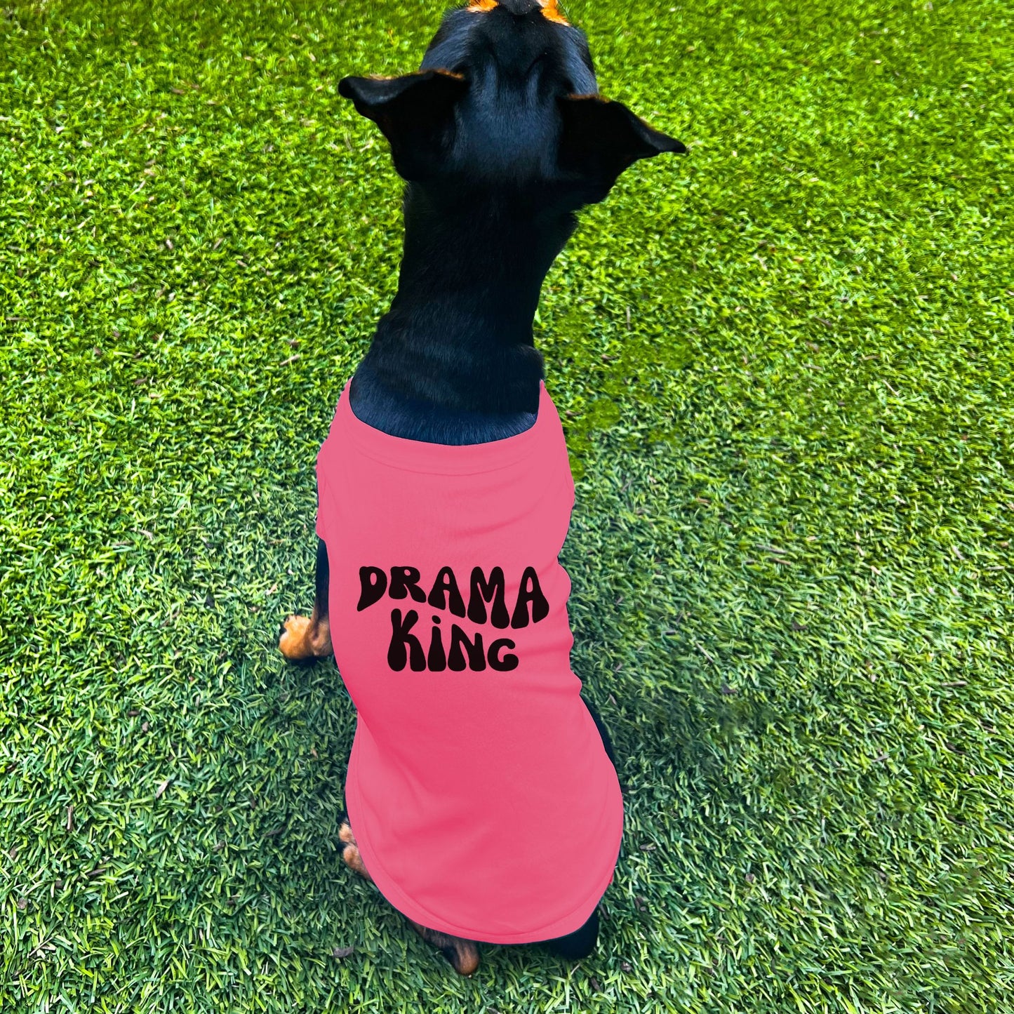 "Drama King" Retro Wave Dog Shirt