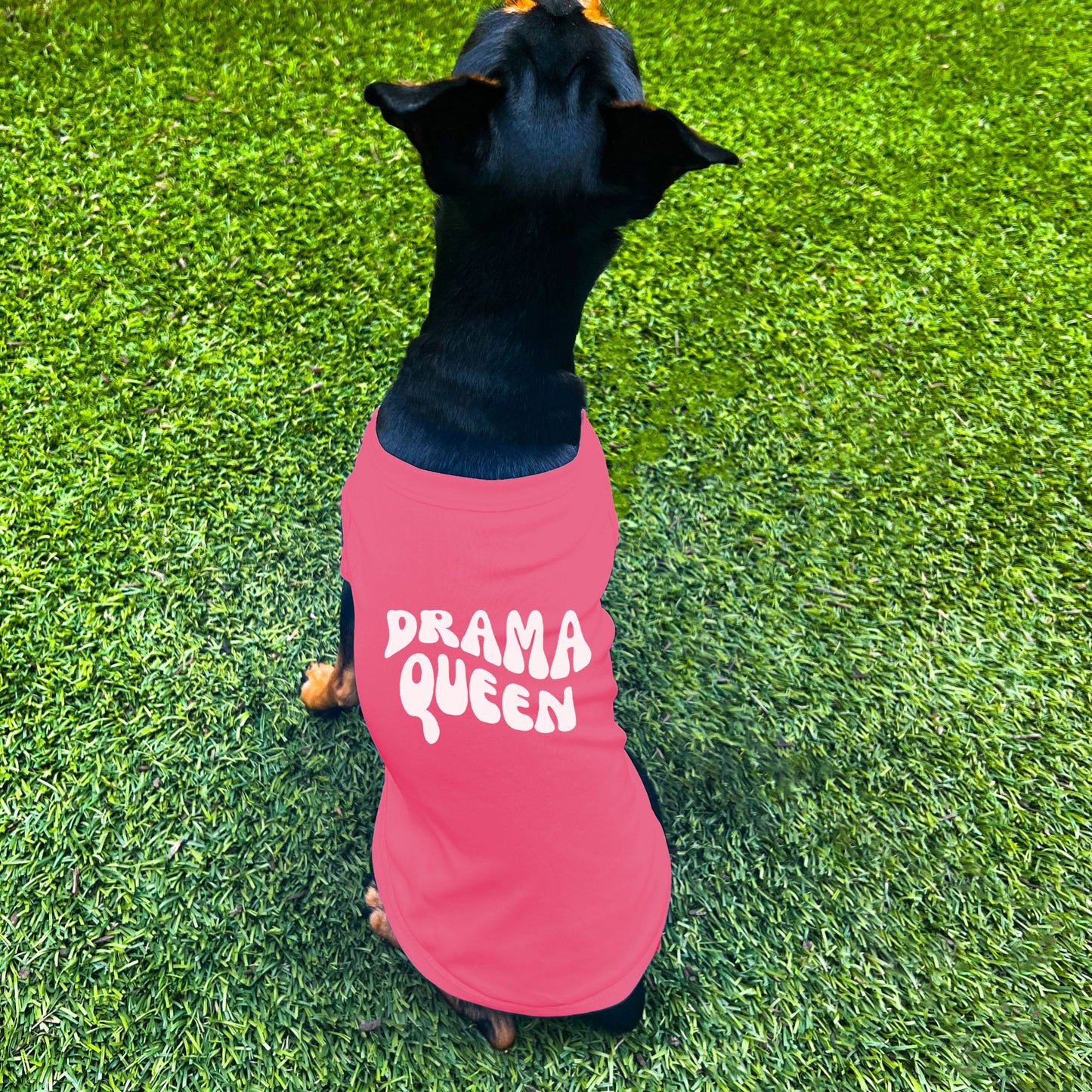 "Drama Queen" Retro Wave Dog Shirt