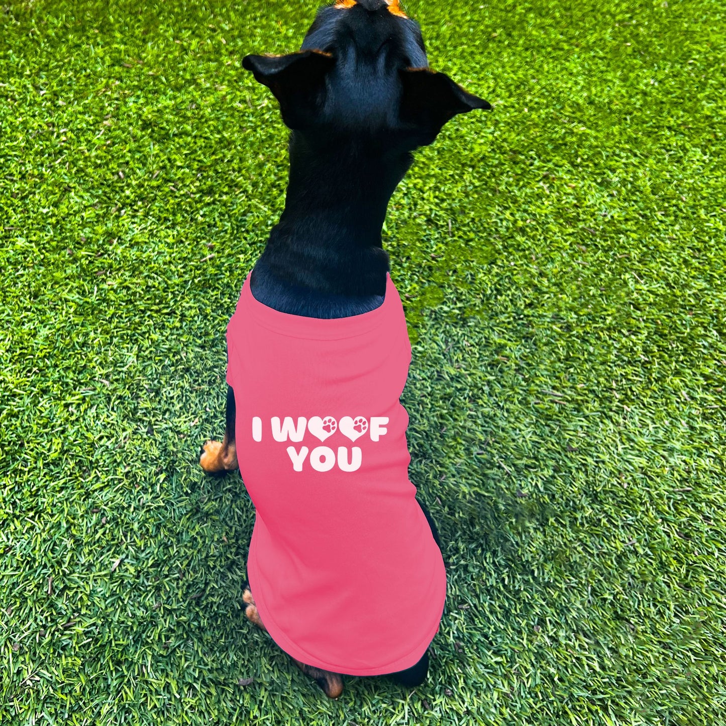 "I Woof You" Dog Shirt